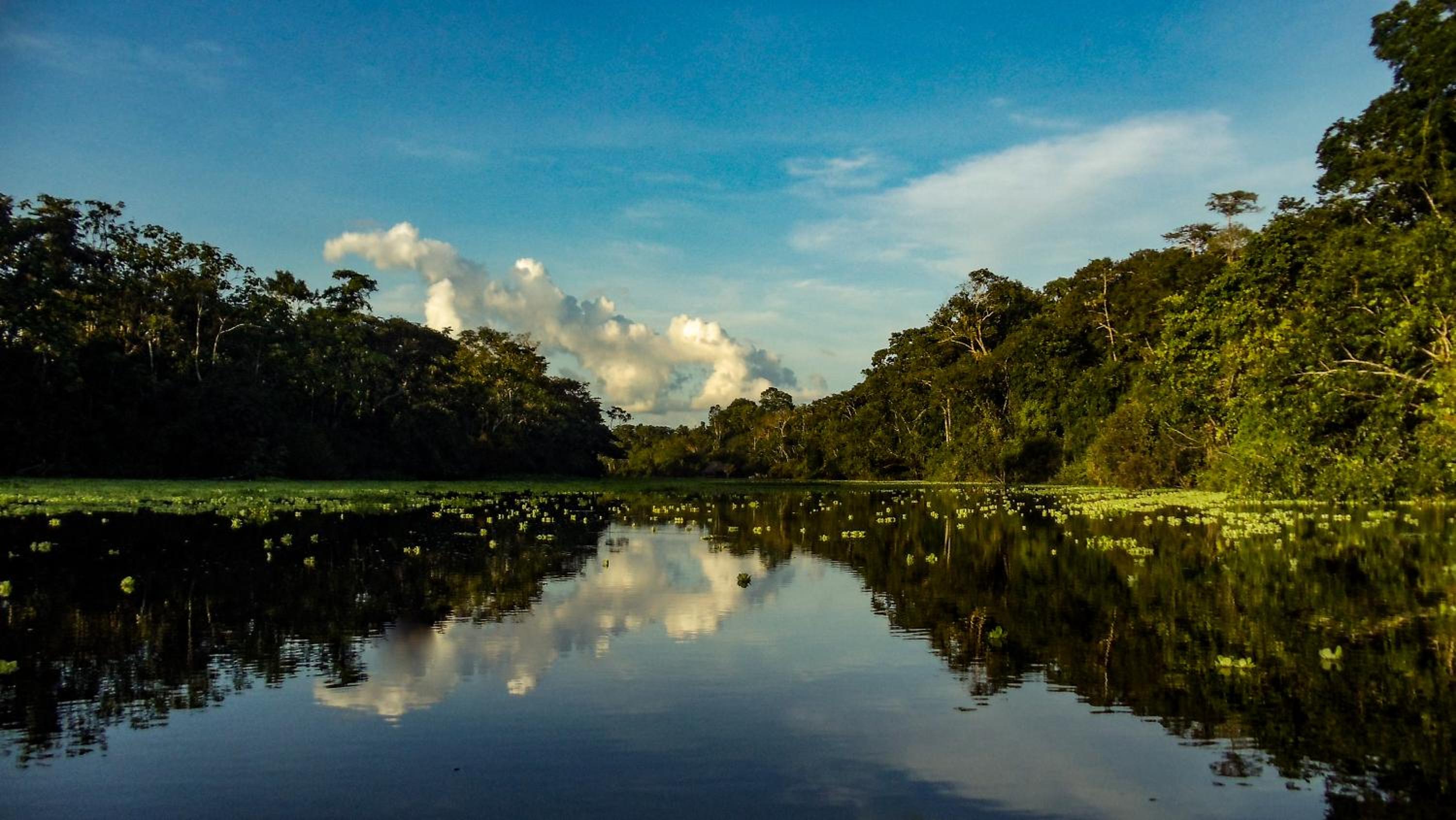 Amazon Muyuna Lodge - All Inclusive