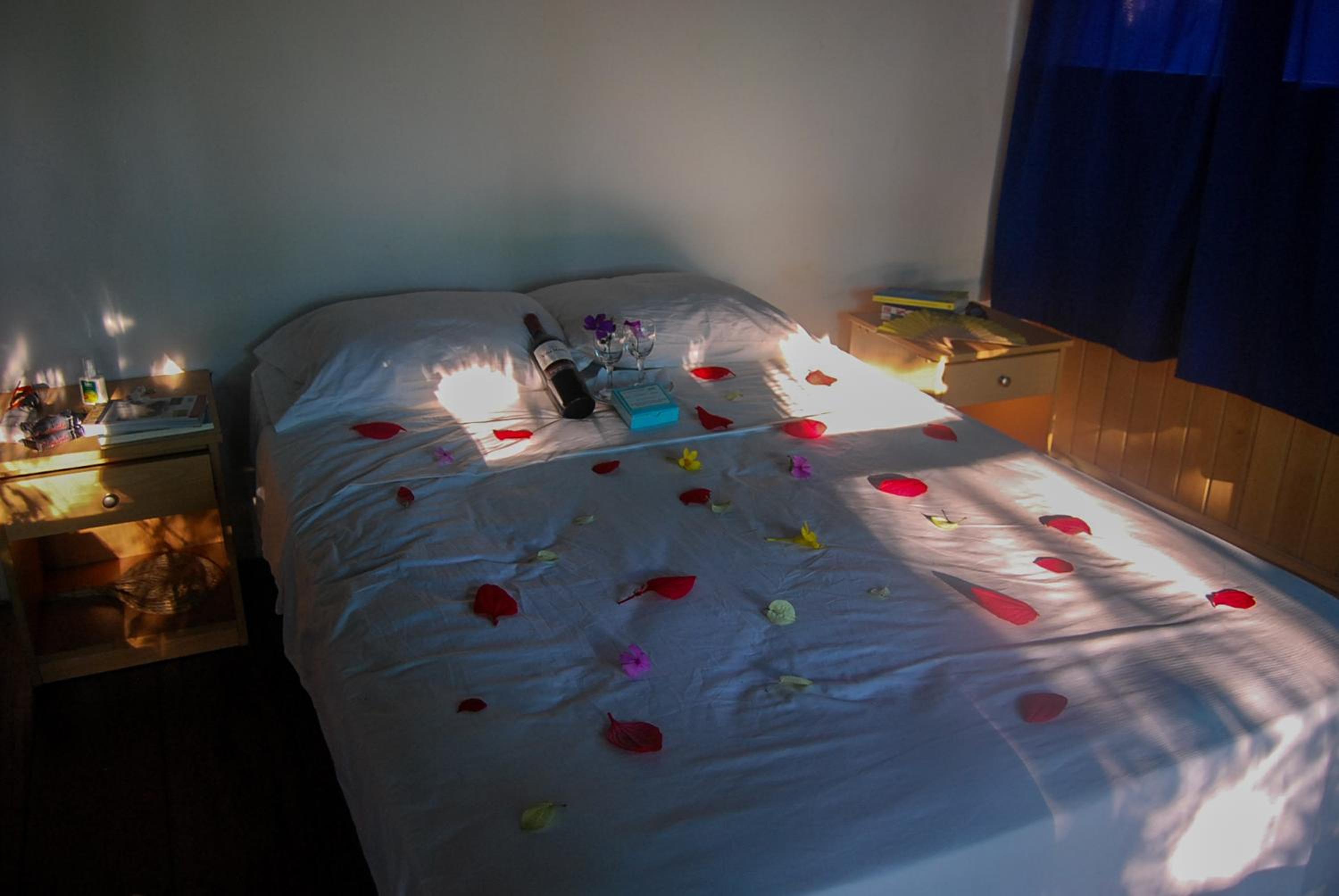 Amazon Muyuna Lodge - All Inclusive