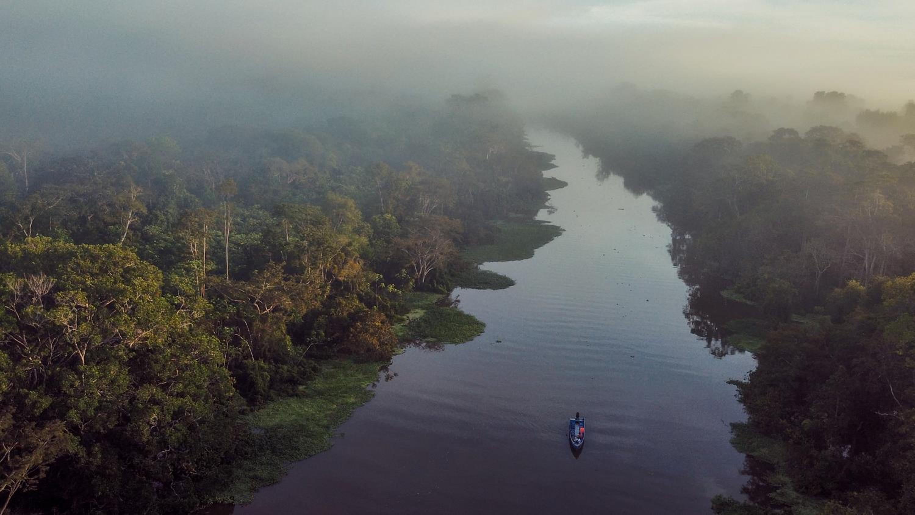 Amazon Muyuna Lodge - All Inclusive