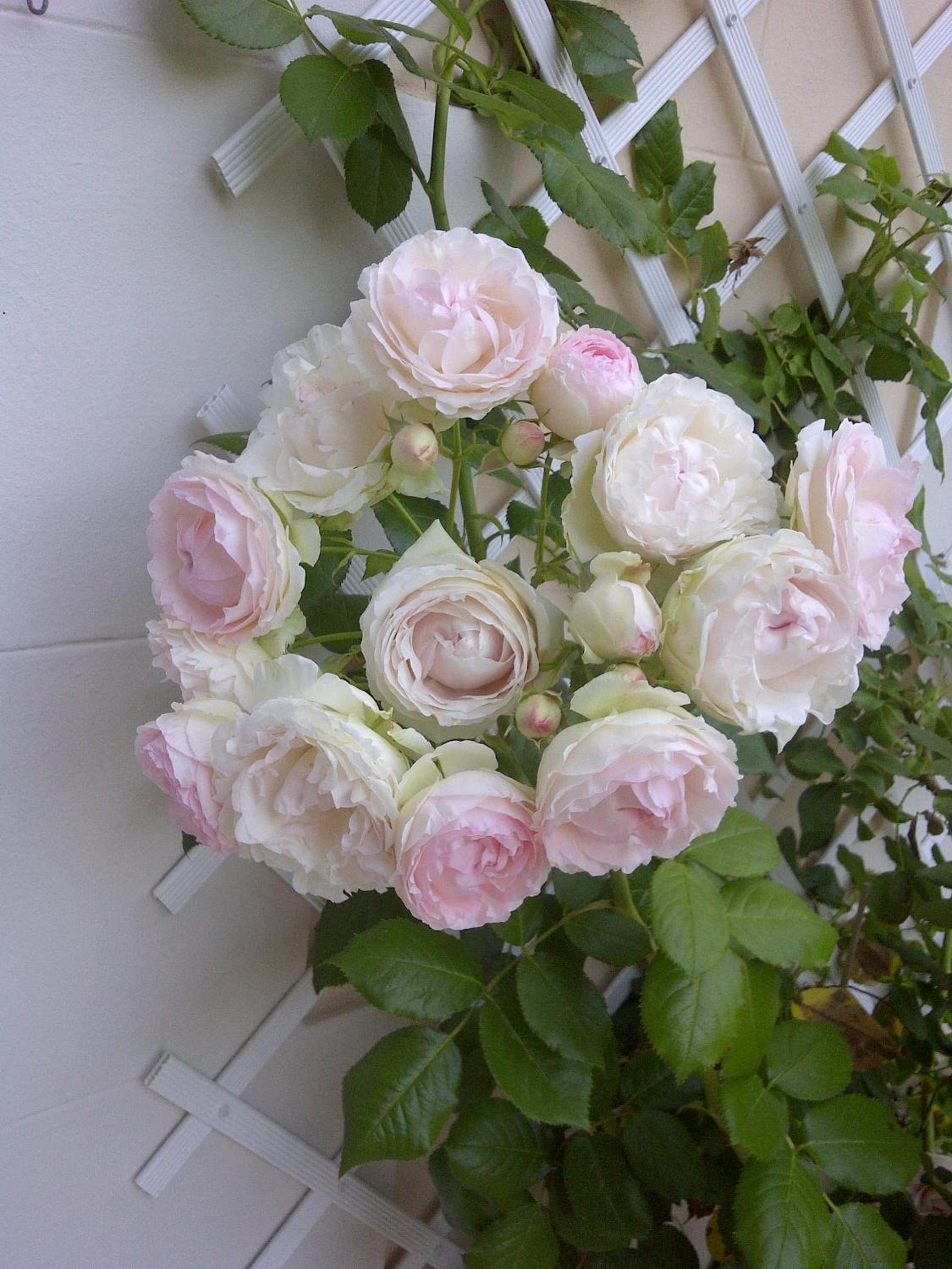 Deauville Vacations - Le Mascaret - Property Image 48