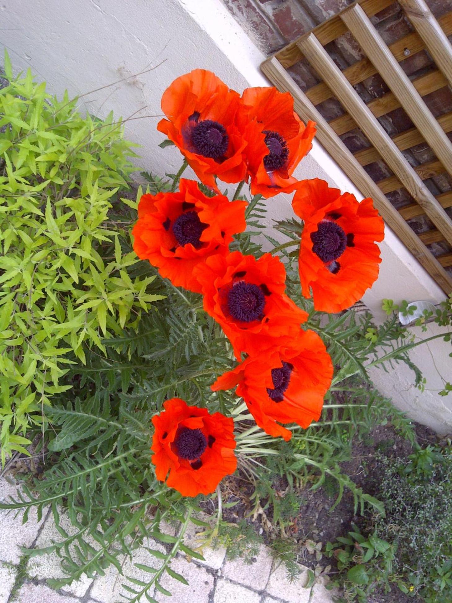 Deauville Vacations - Le Mascaret - Property Image 49