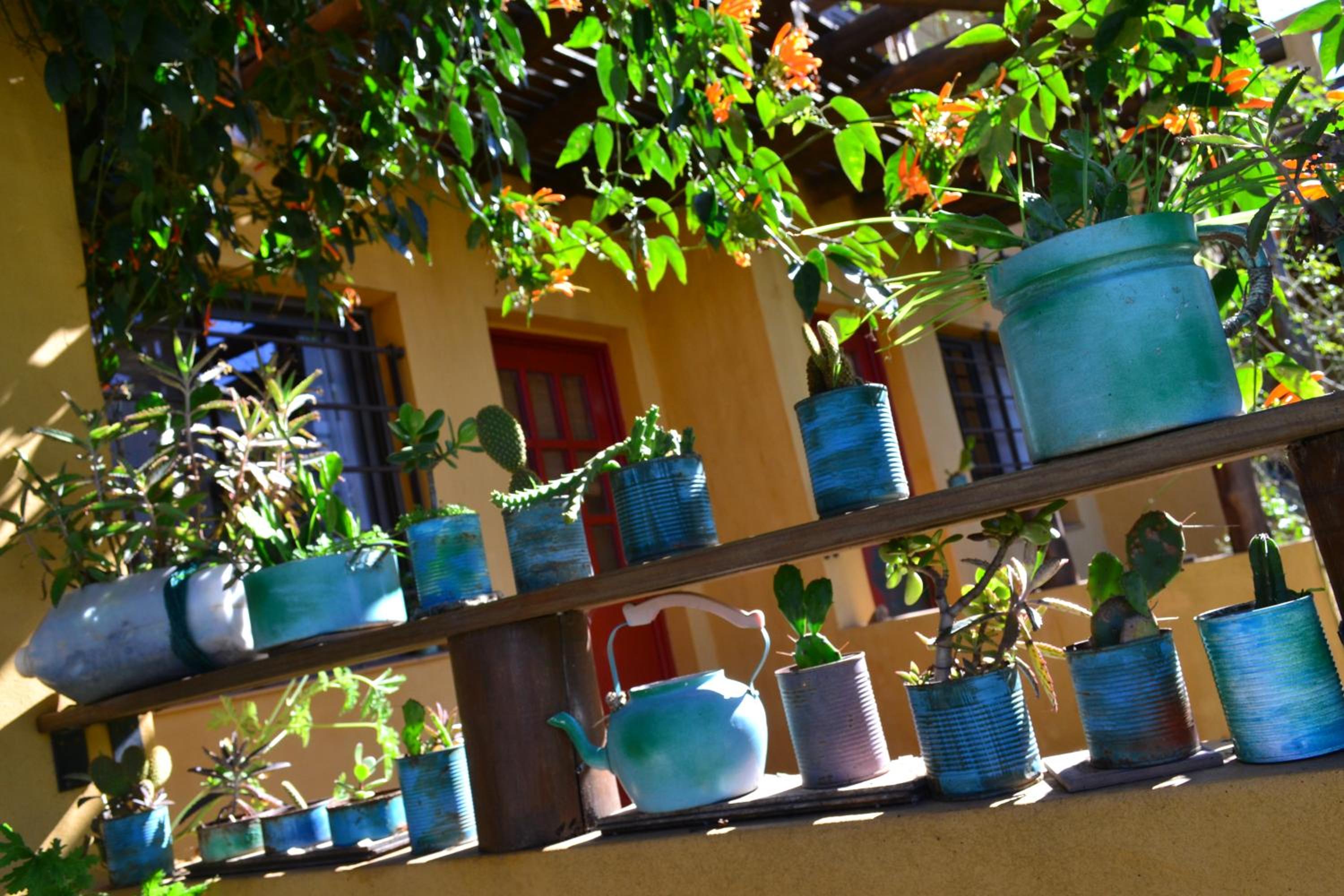 Yataí Casas