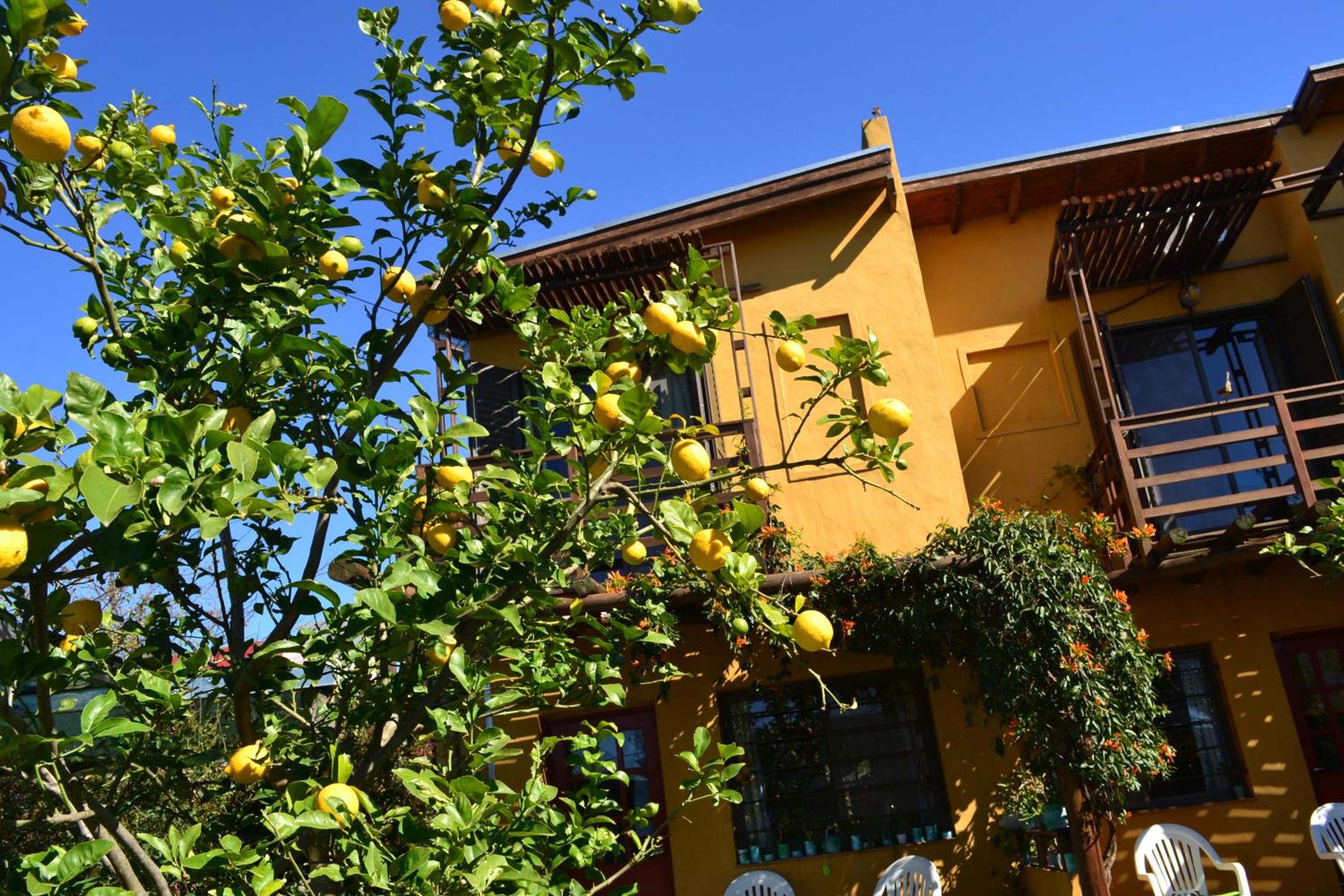 Yataí Casas