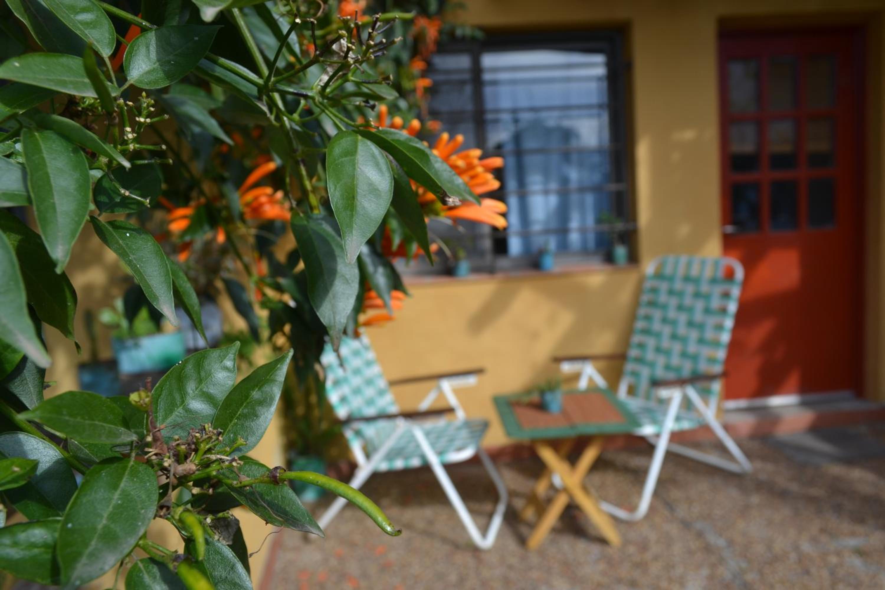 Yataí Casas