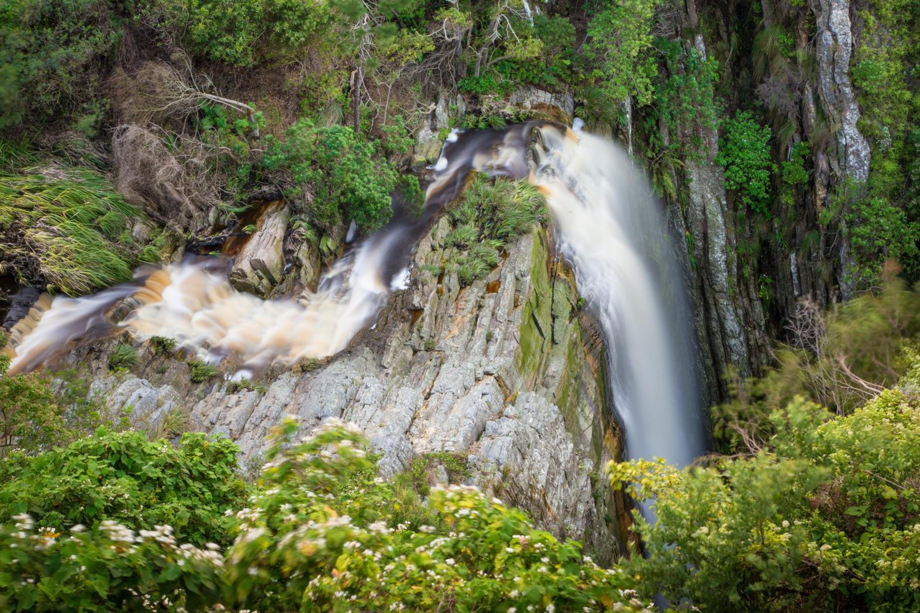 The Fernery Lodge & Spa view 3