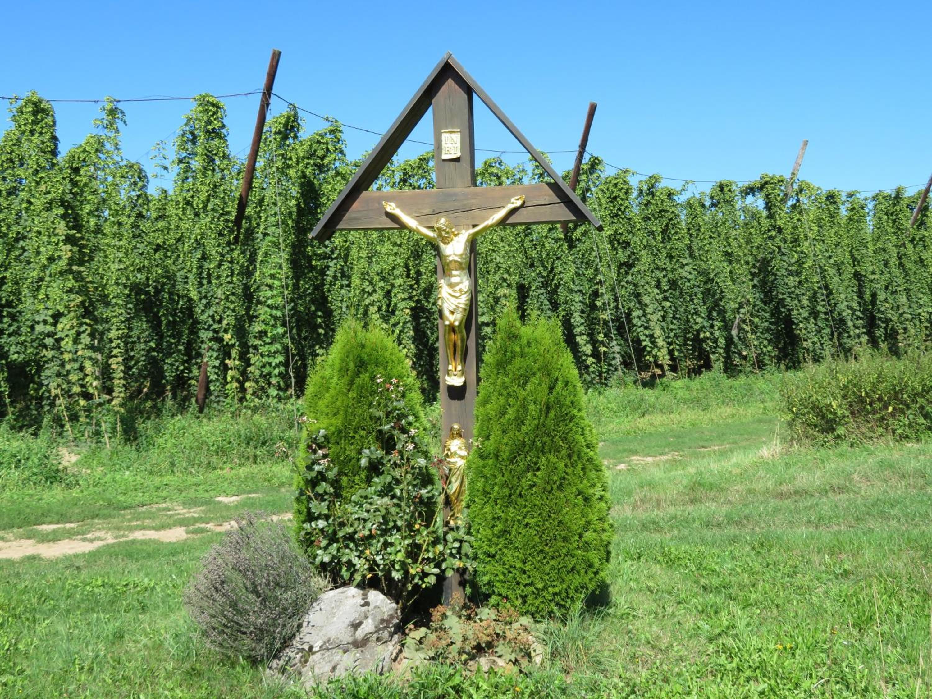 Photo 16