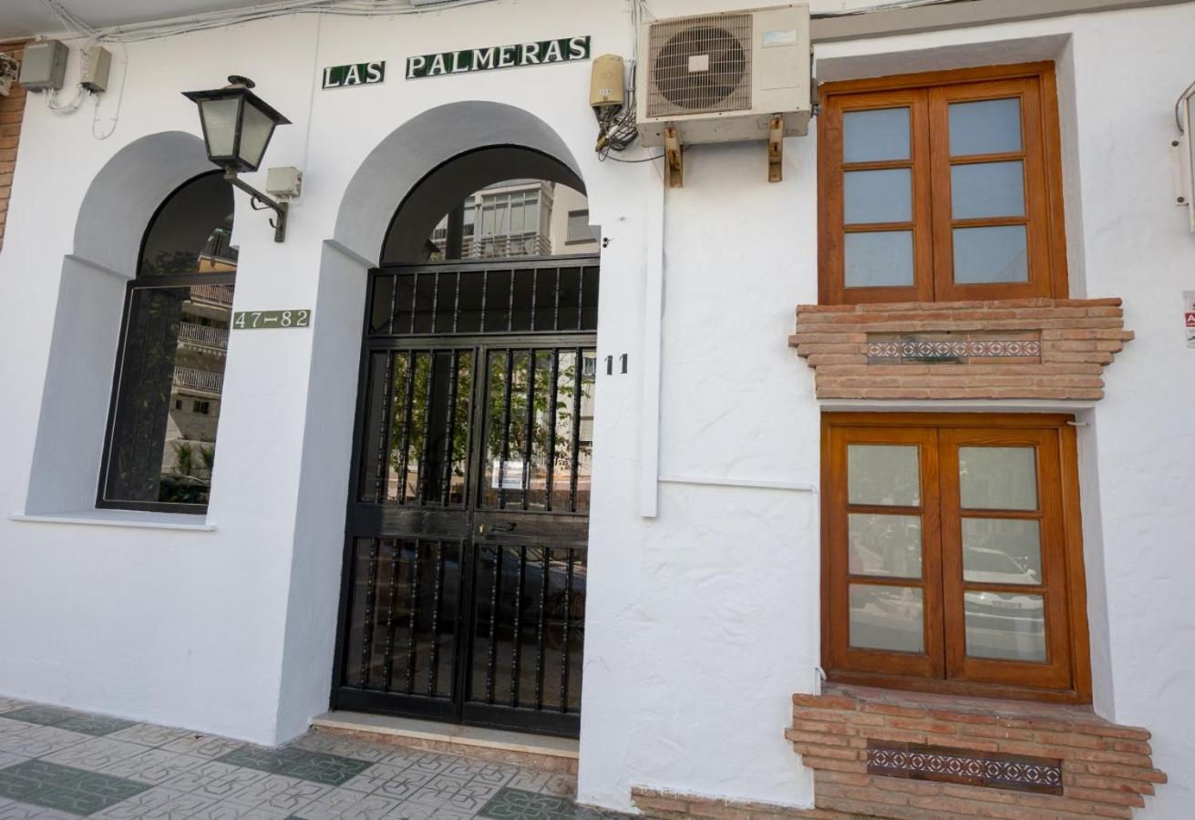 PALMERAS 80 MENYBER view 5