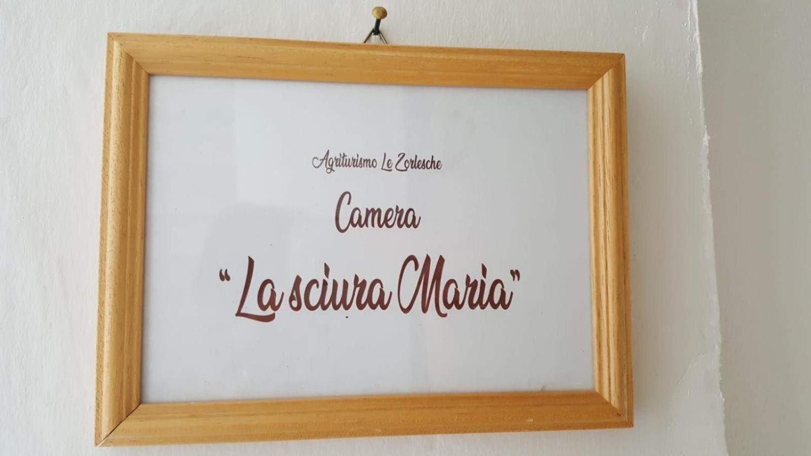 AGRITURISMO LE ZORLESCHE view 2