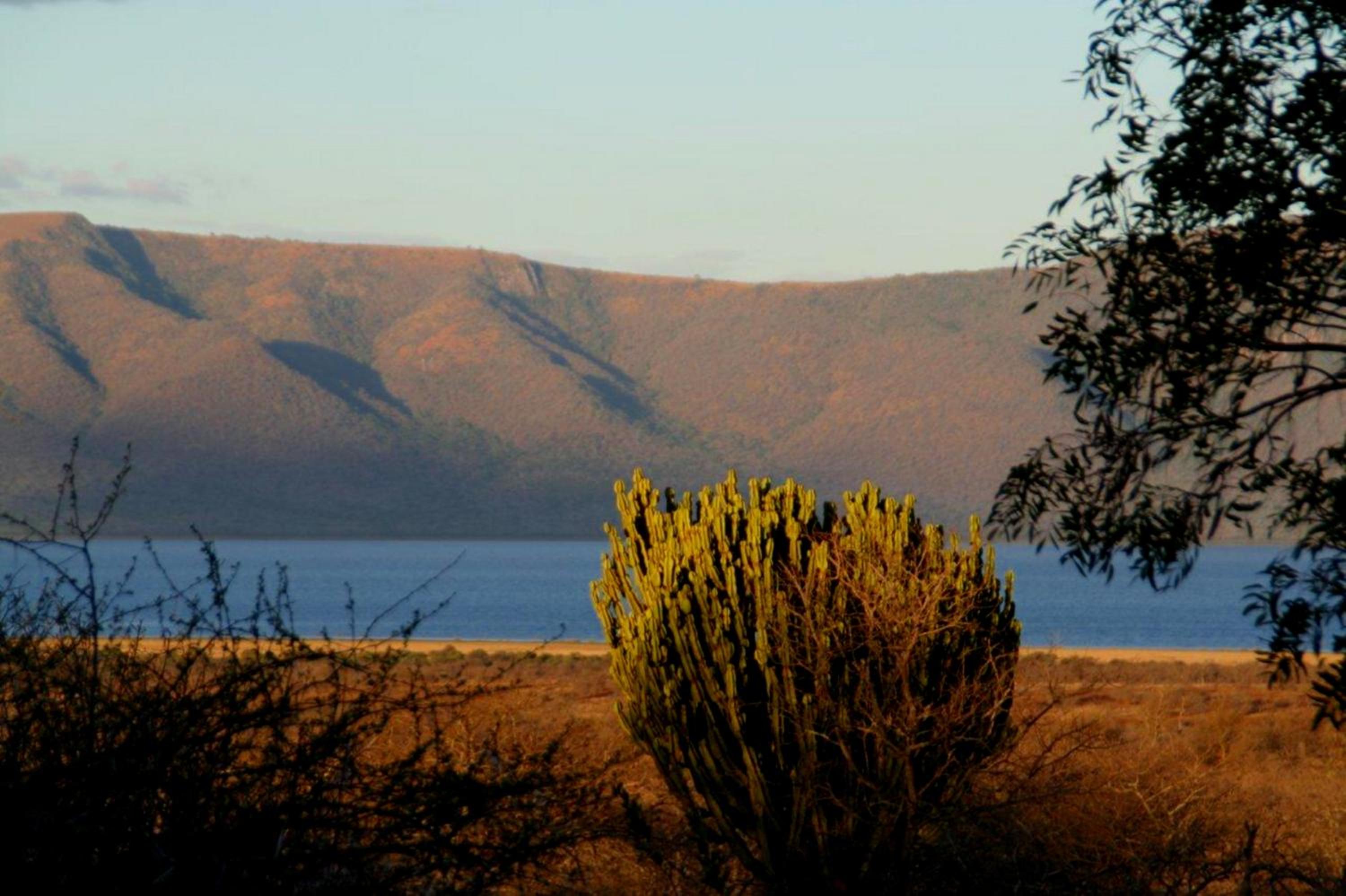 White Elephant Safaris view 5