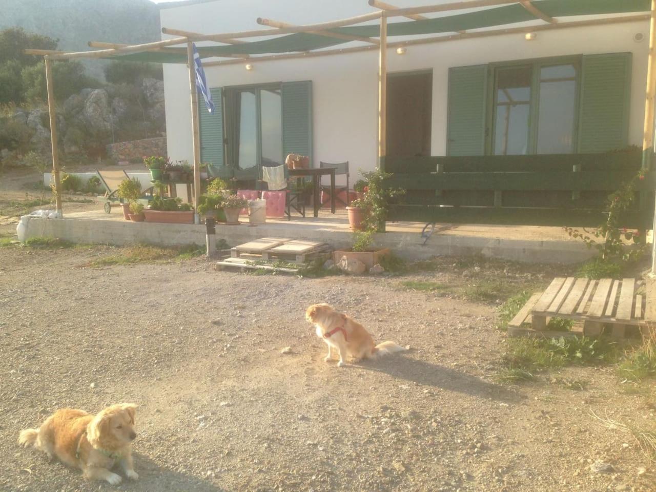 Photo 33