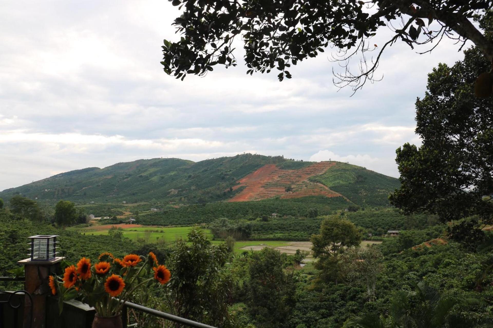 Ivory Falls Villa