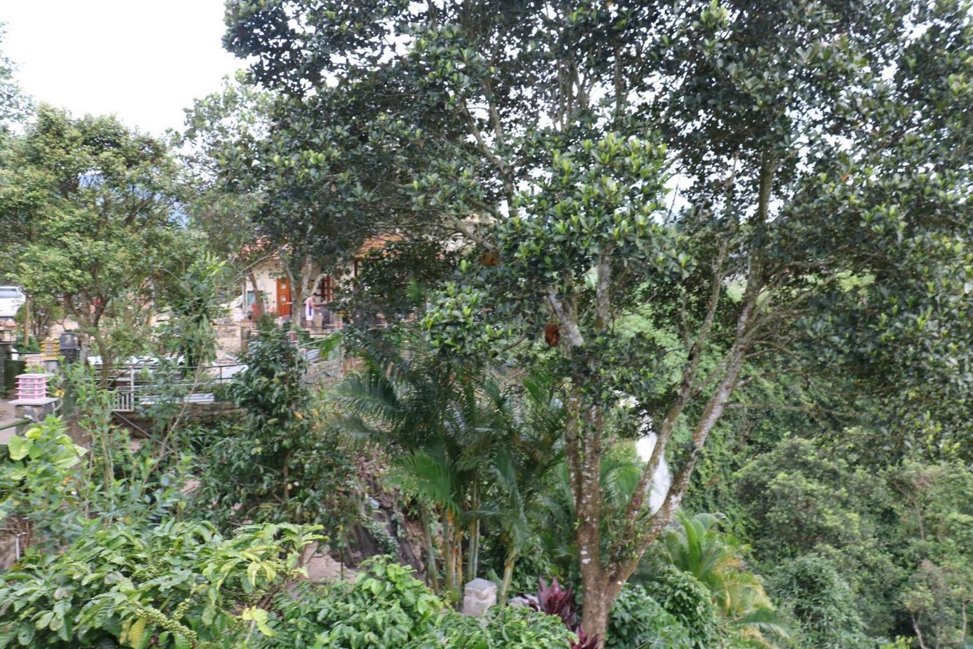 Ivory Falls Villa