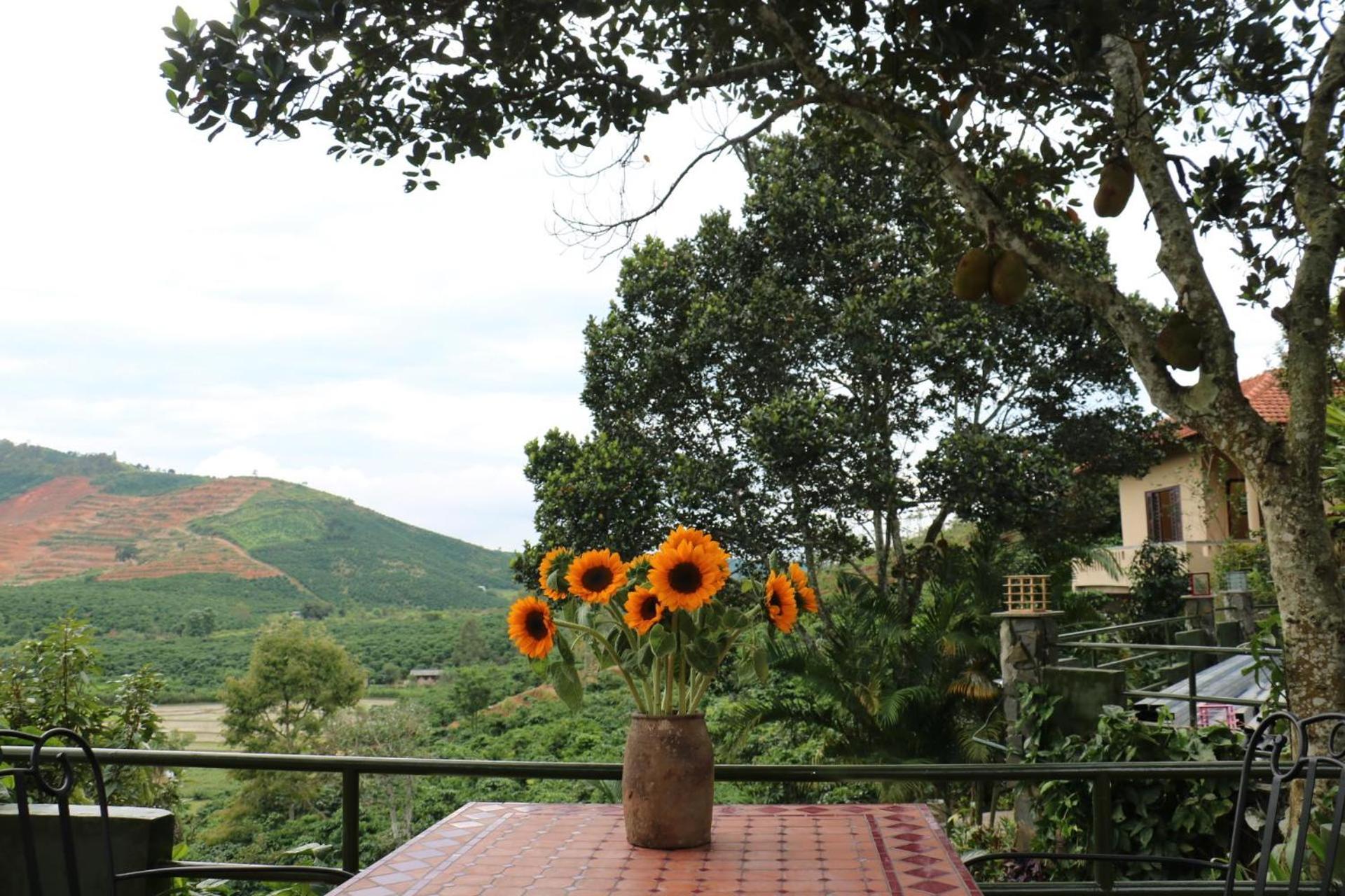 Ivory Falls Villa