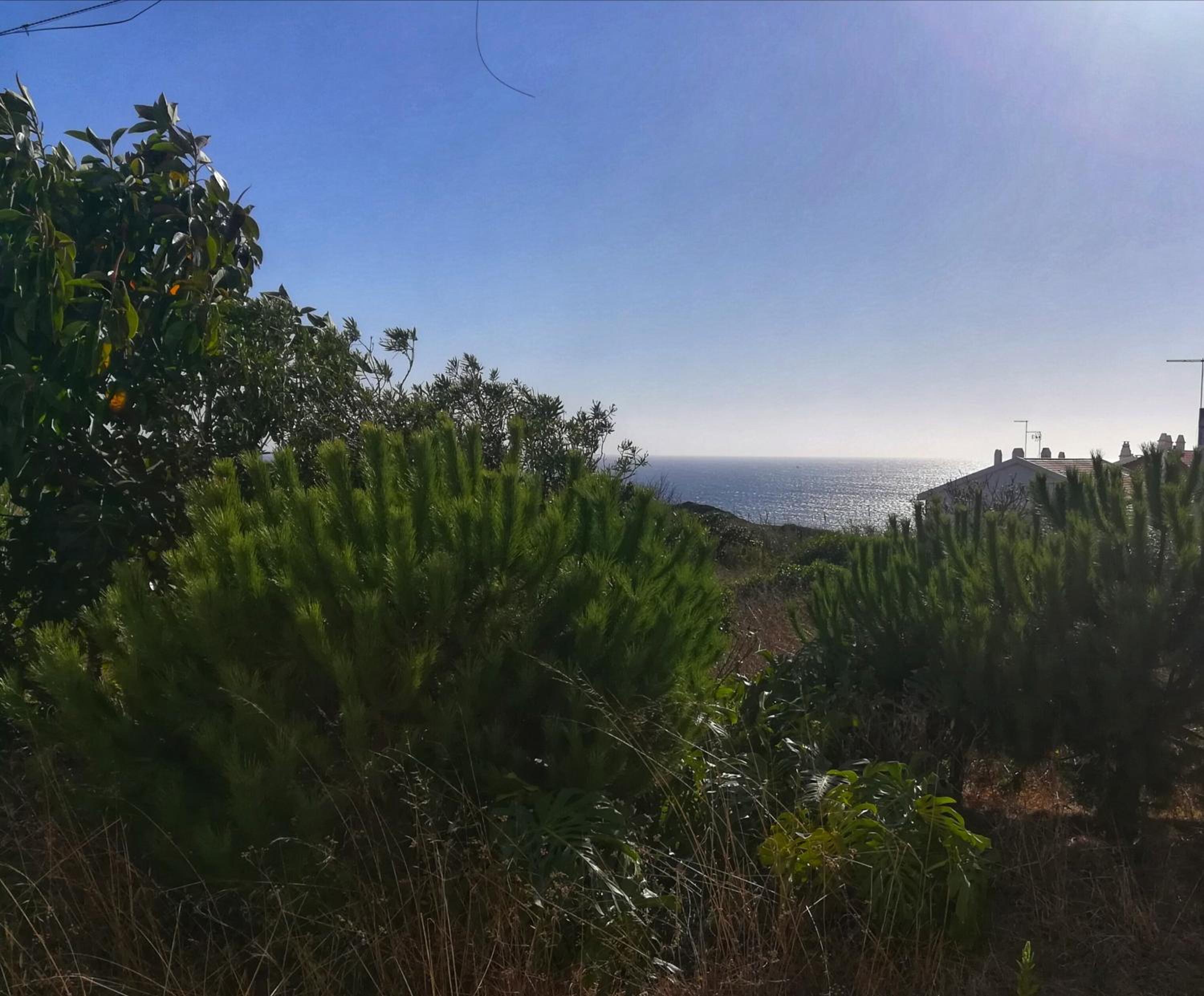 other