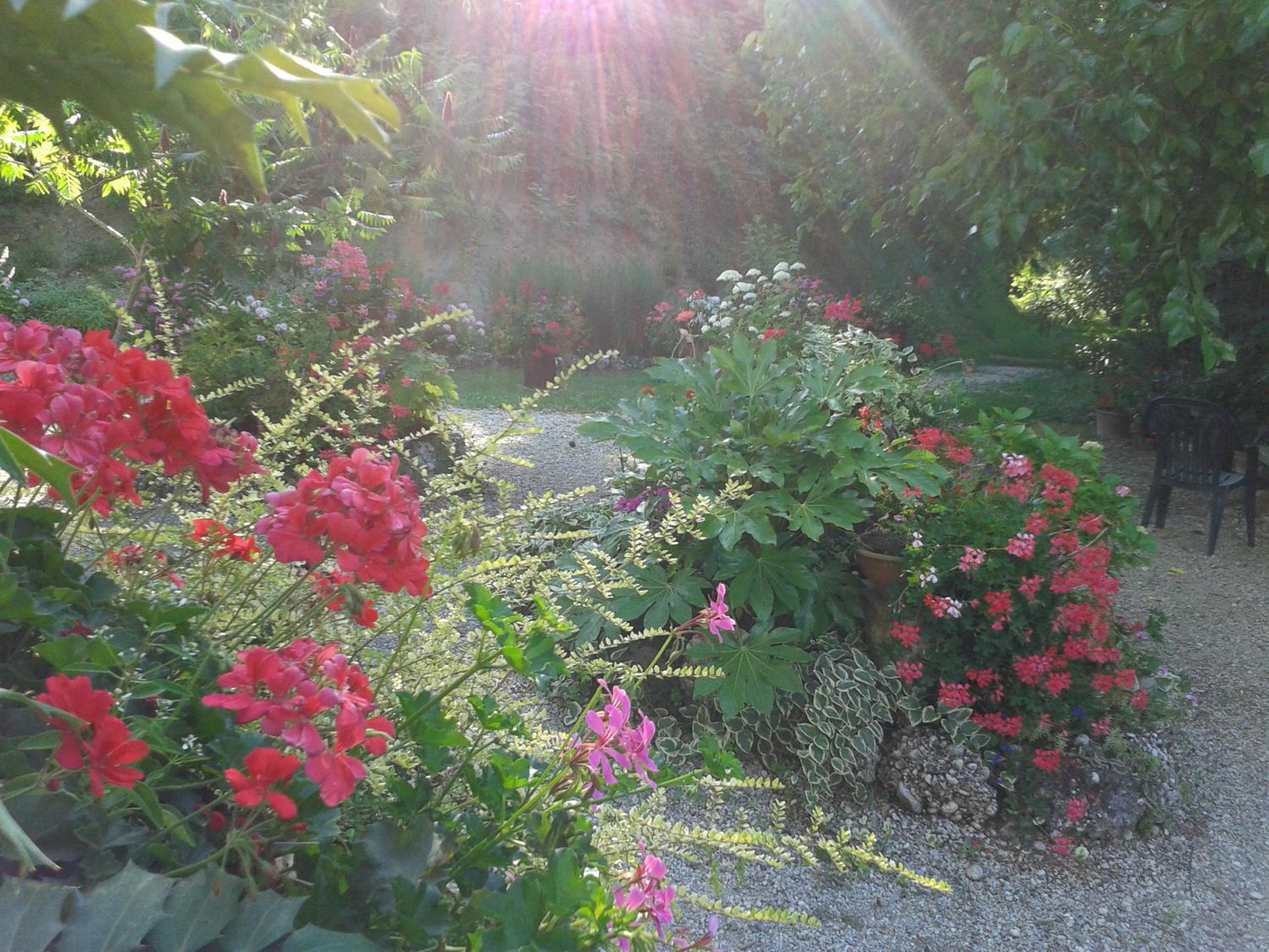 Photo 20