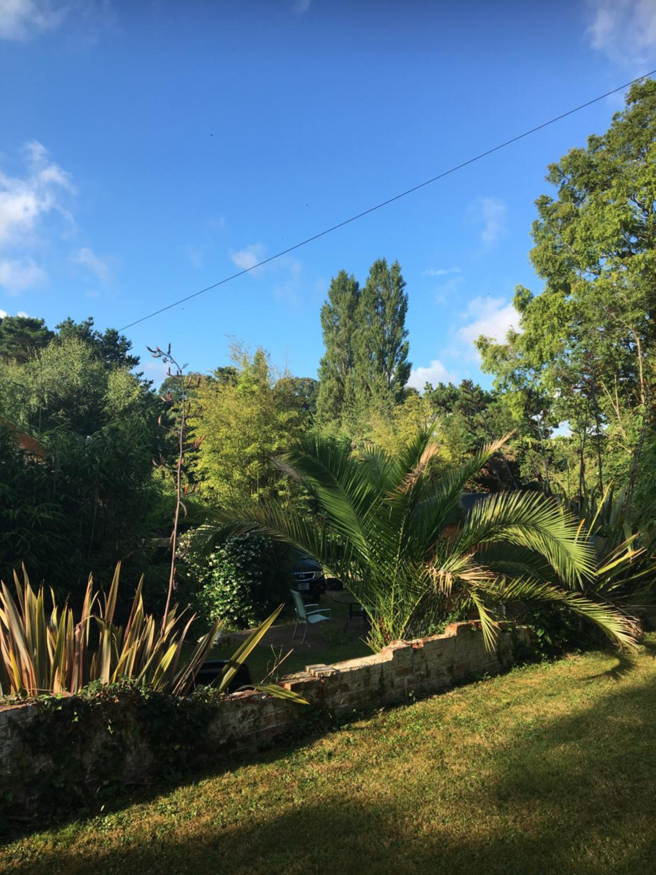 Photo 19