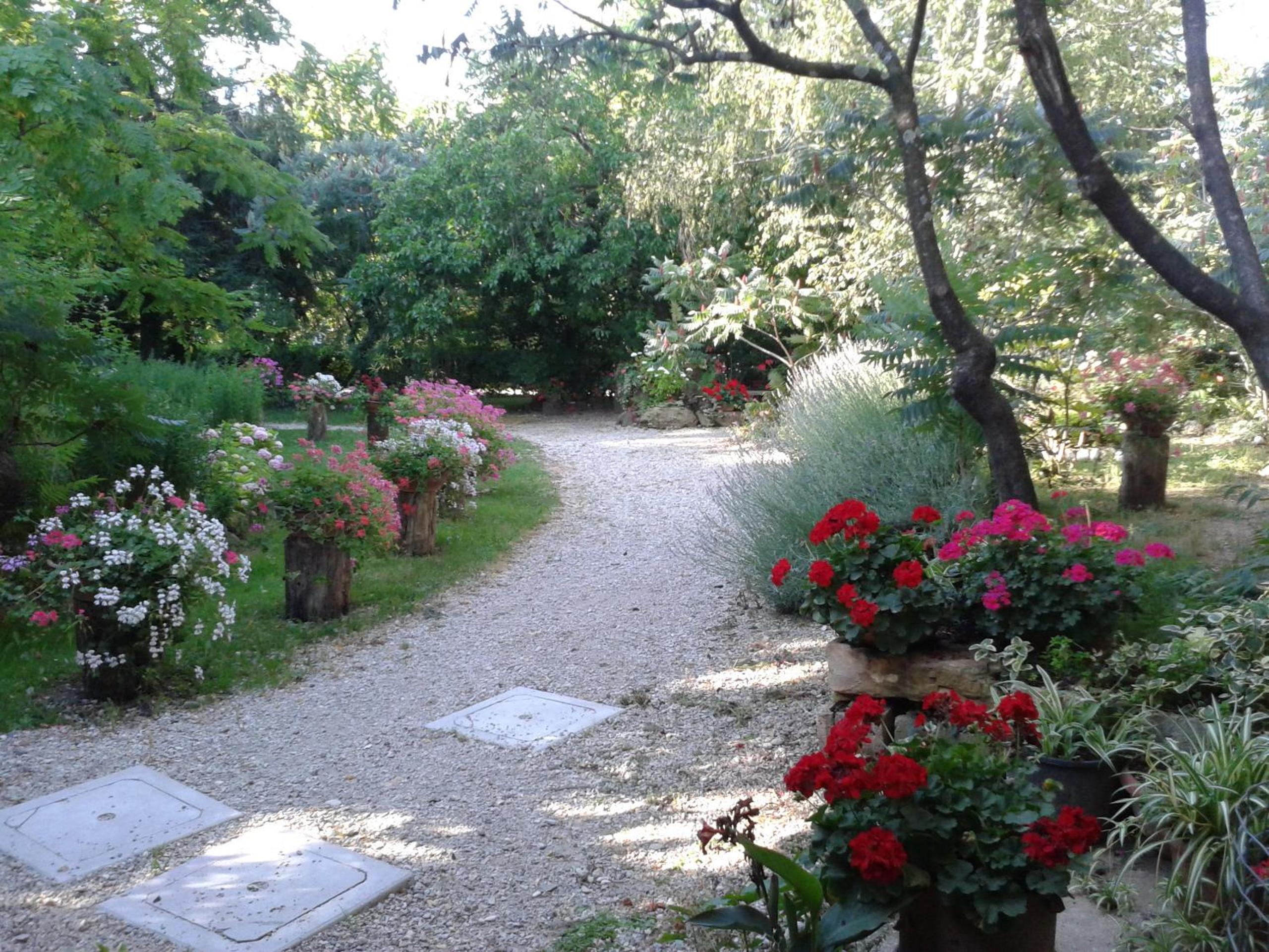 Photo 21