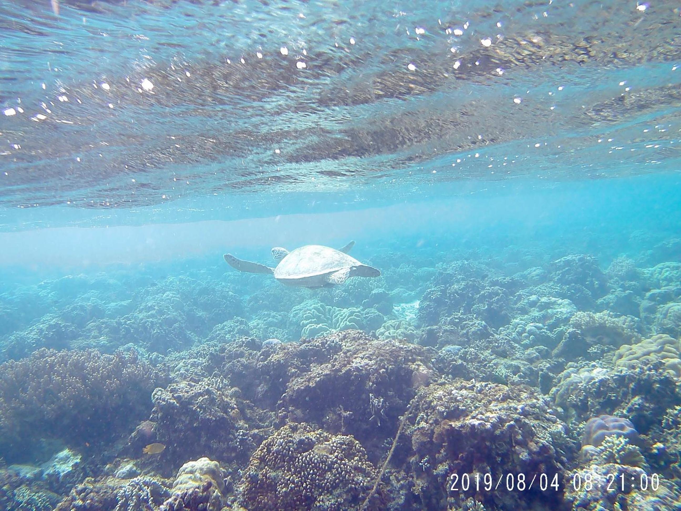 Photo 19