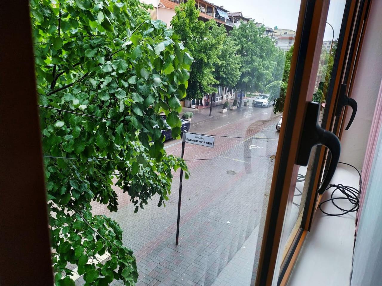 Lovely Apt at the heart of the city&near the lake