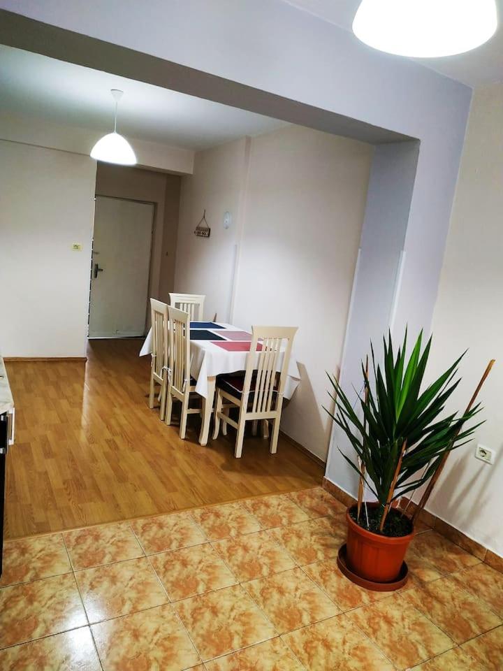 Lovely Apt at the heart of the city&near the lake