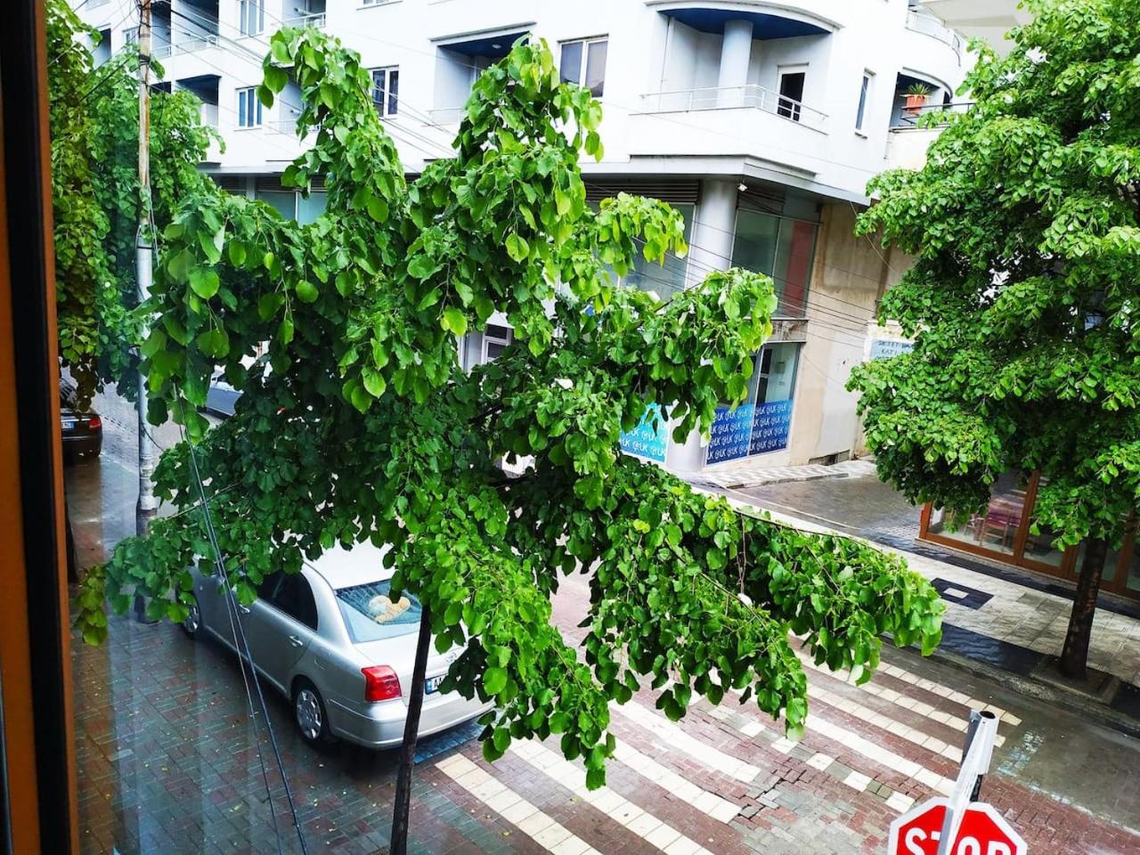 Lovely Apt at the heart of the city&near the lake