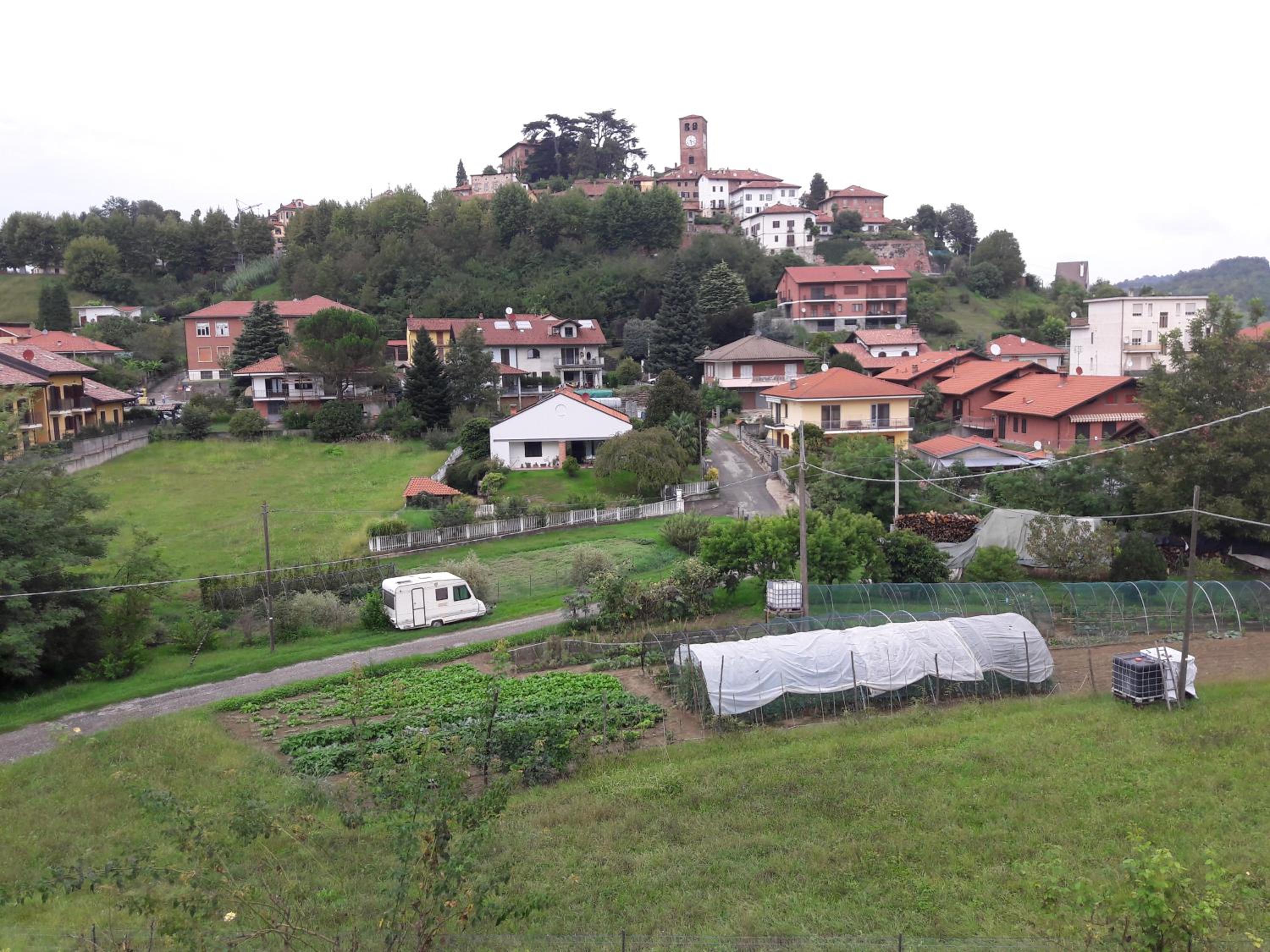 Photo 25
