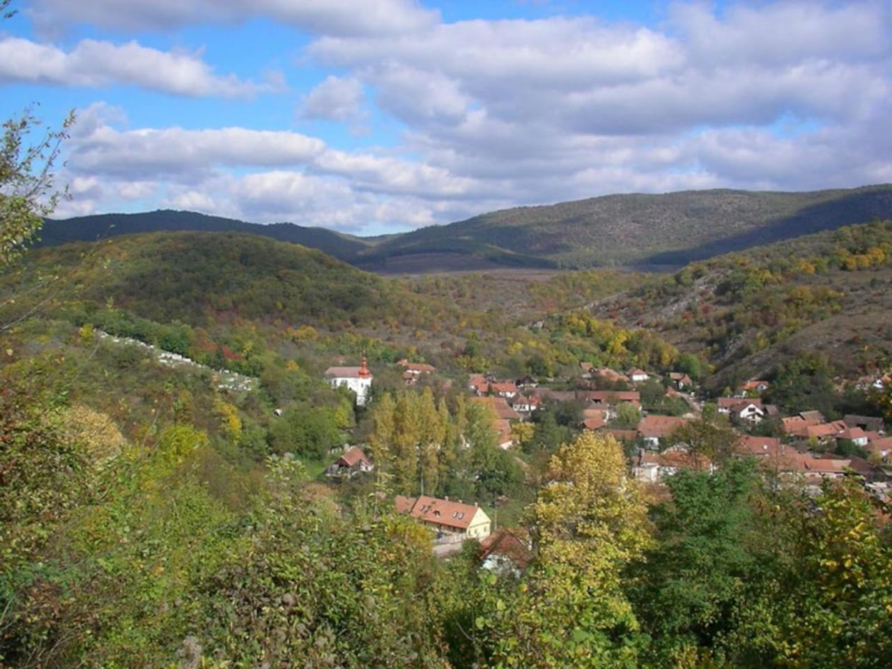 Photo 40