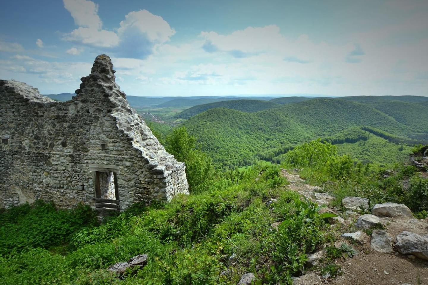 Photo 48