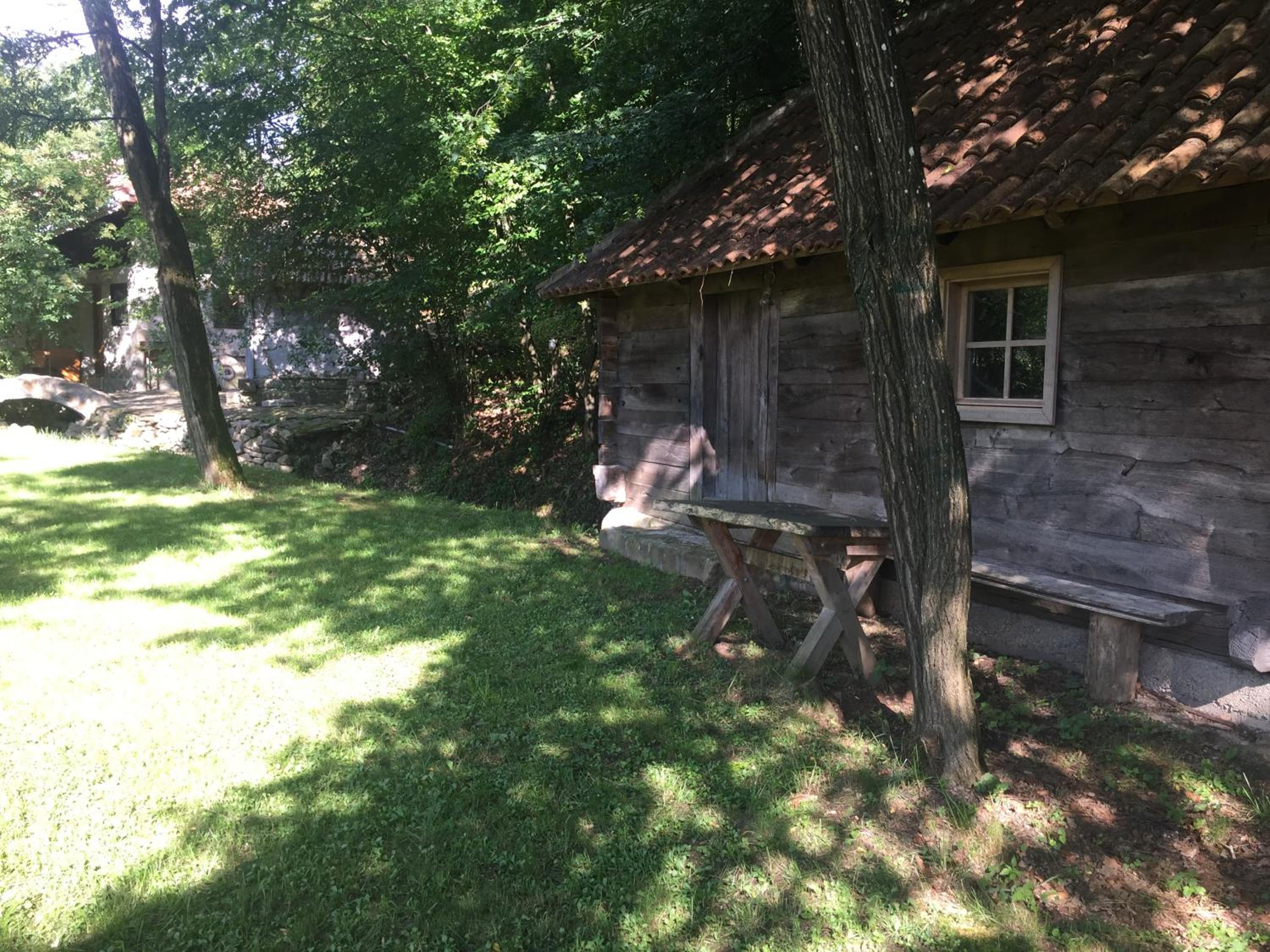 Photo 12