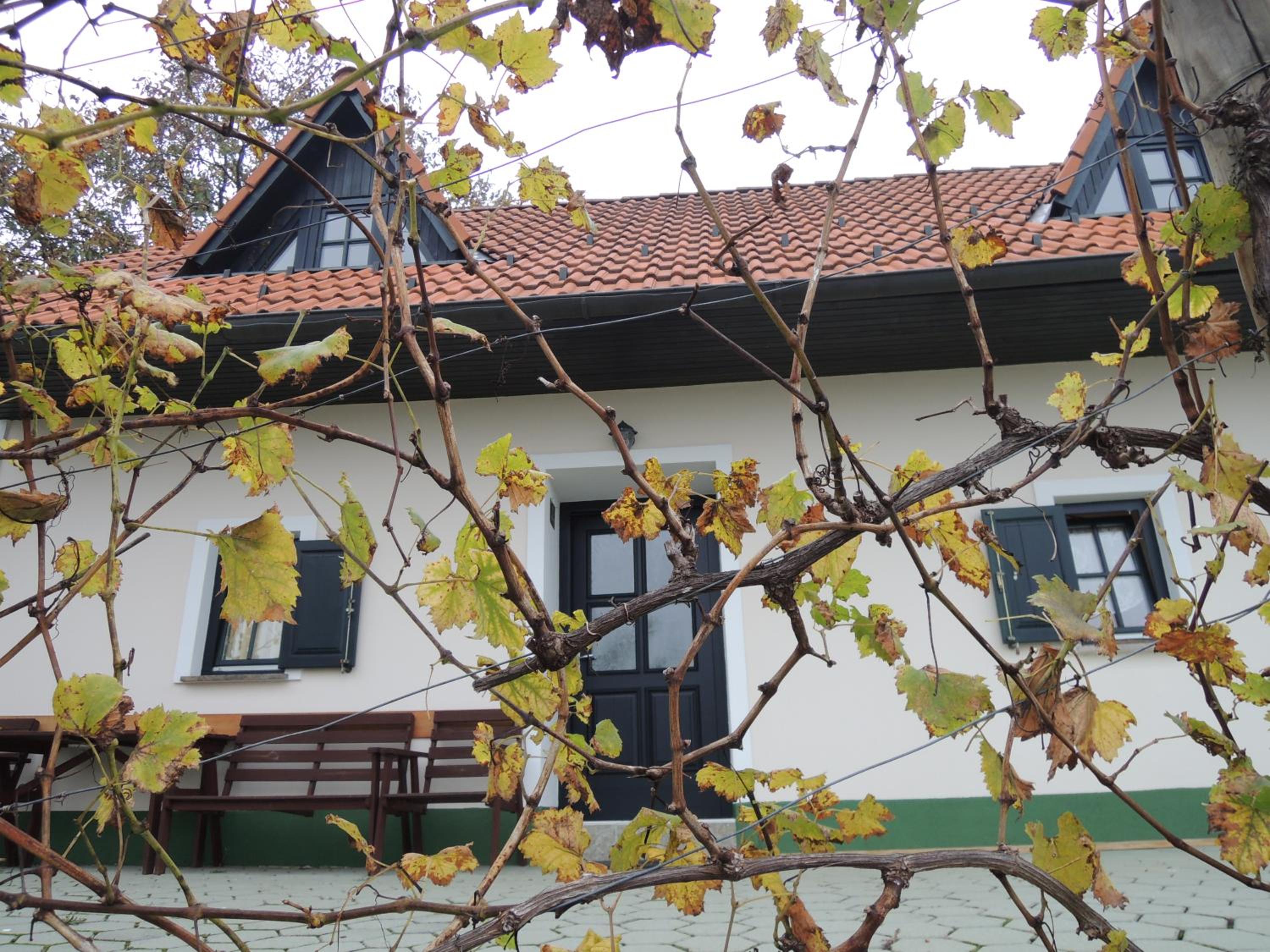 Hotel Vineyard Cottage Zdolsek - Image 1