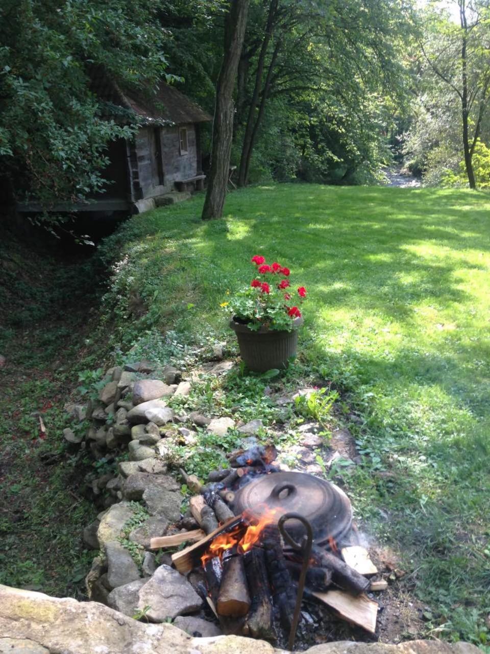 Photo 9