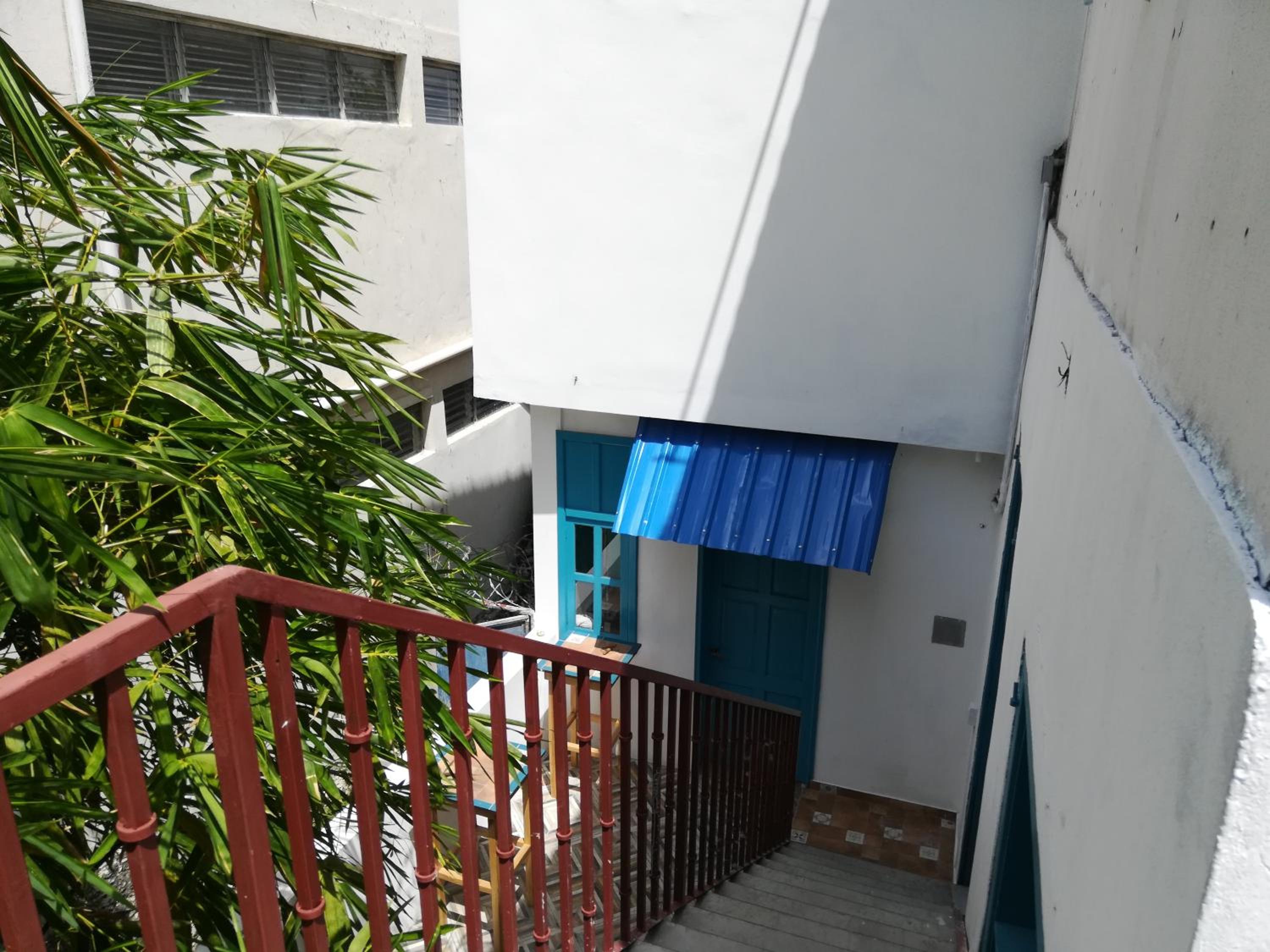 Park Hostel