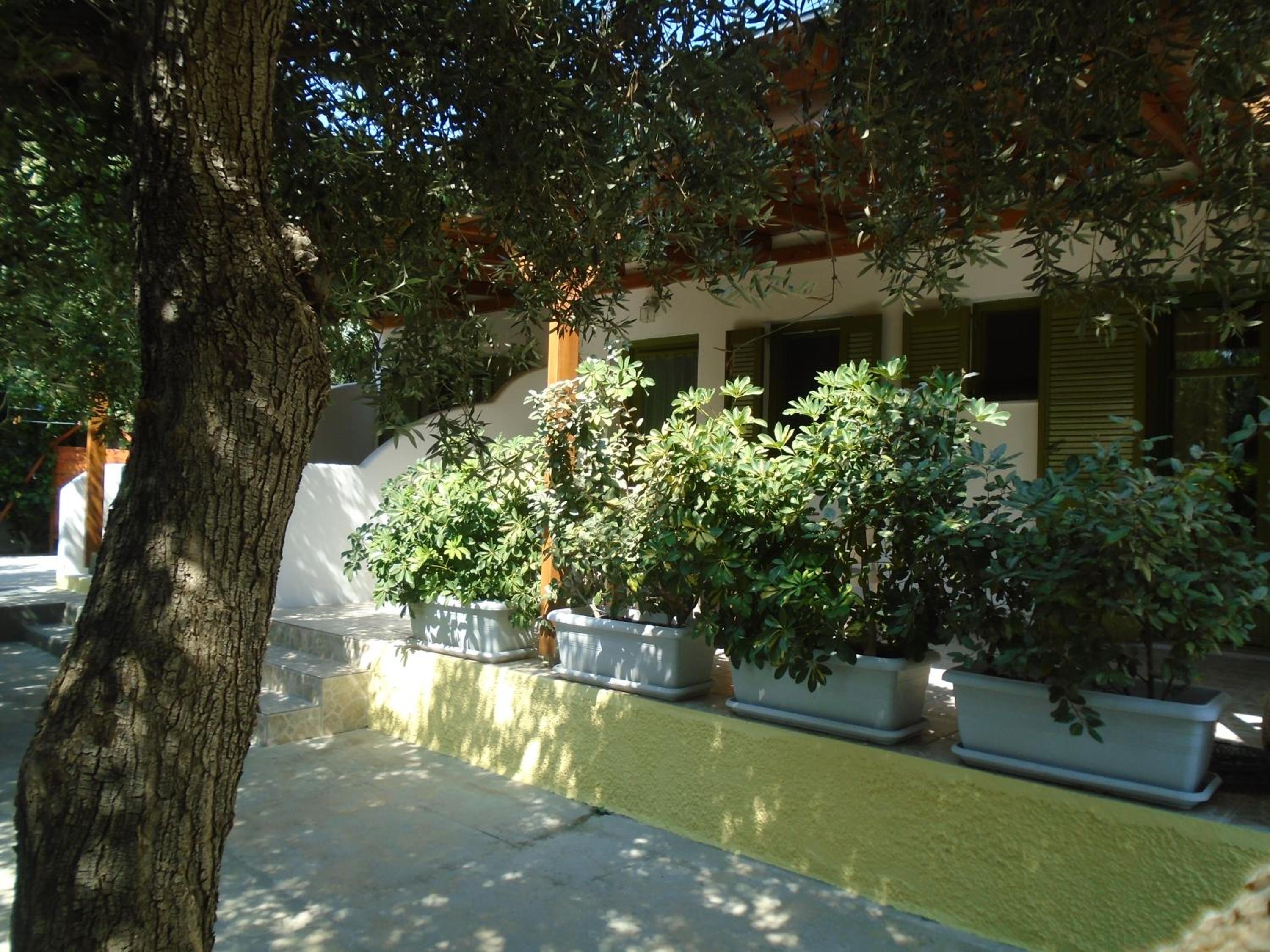 Photo 42