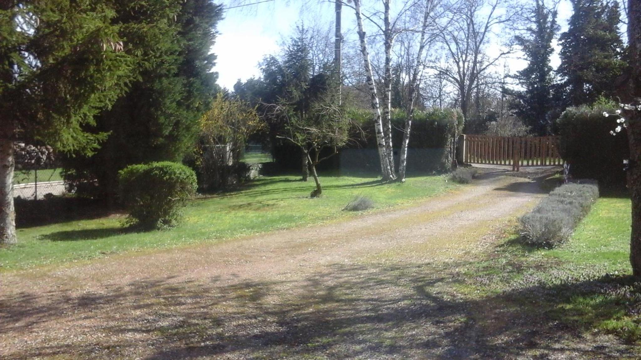 Photo 22