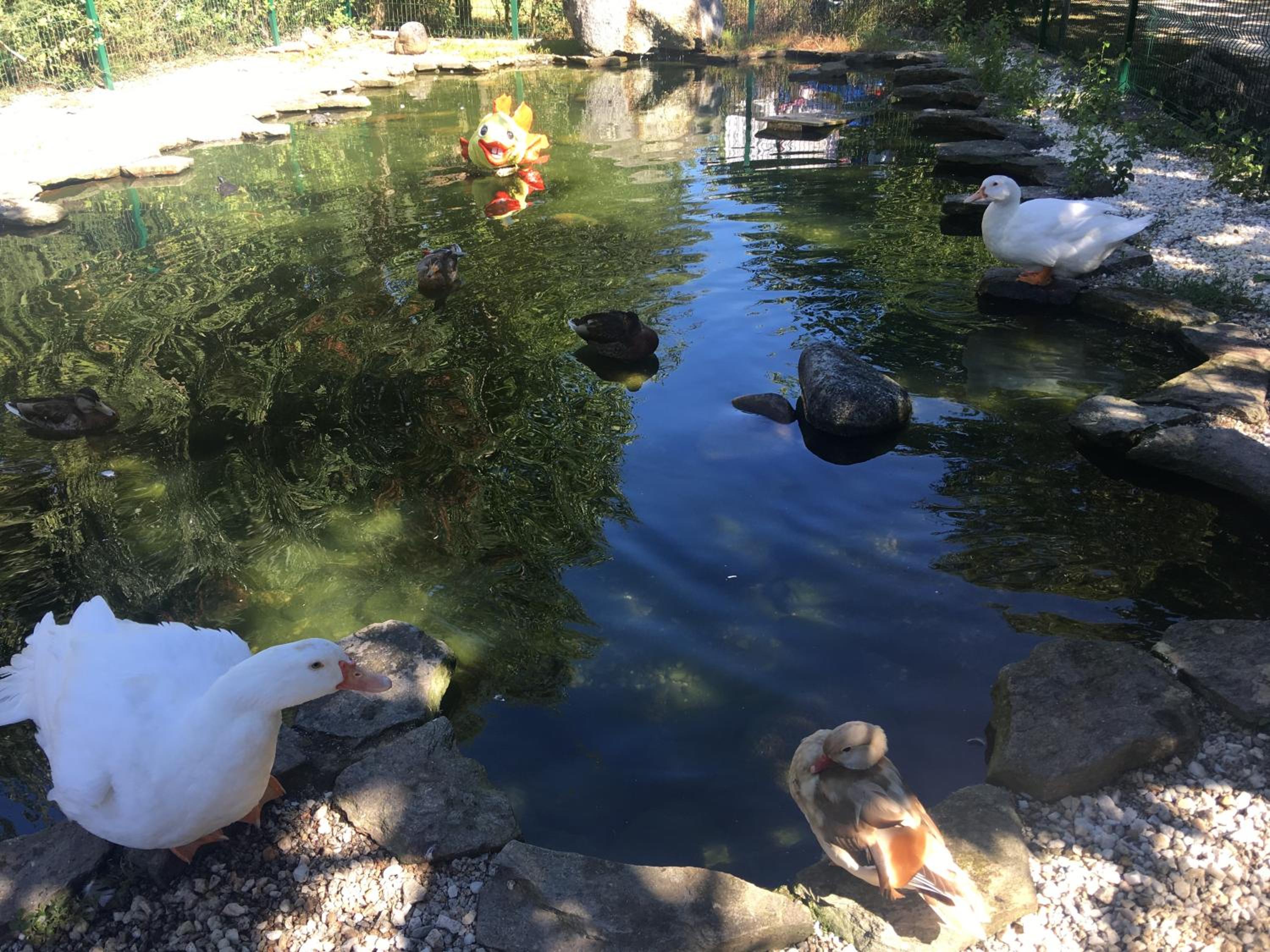 Photo 47