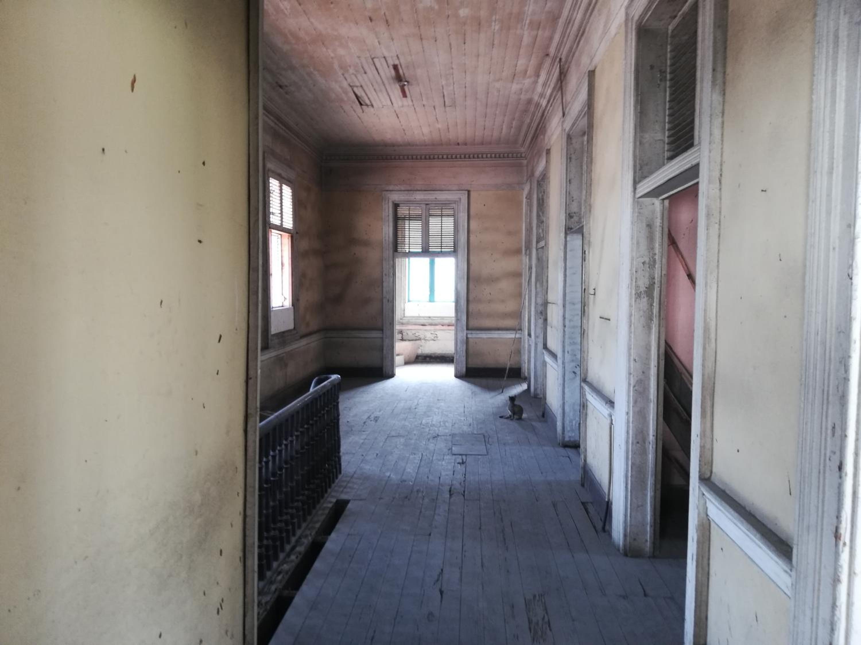 Park Hostel