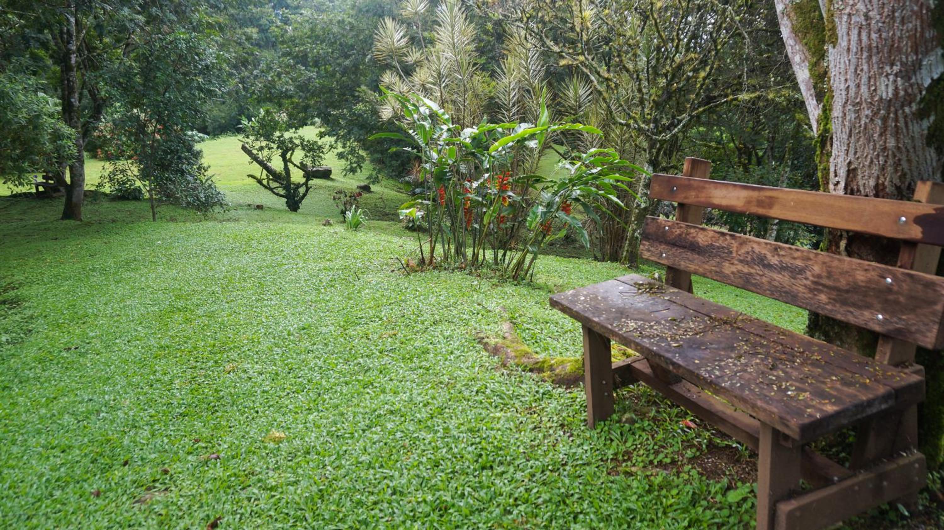 Hospedaje La Naciente