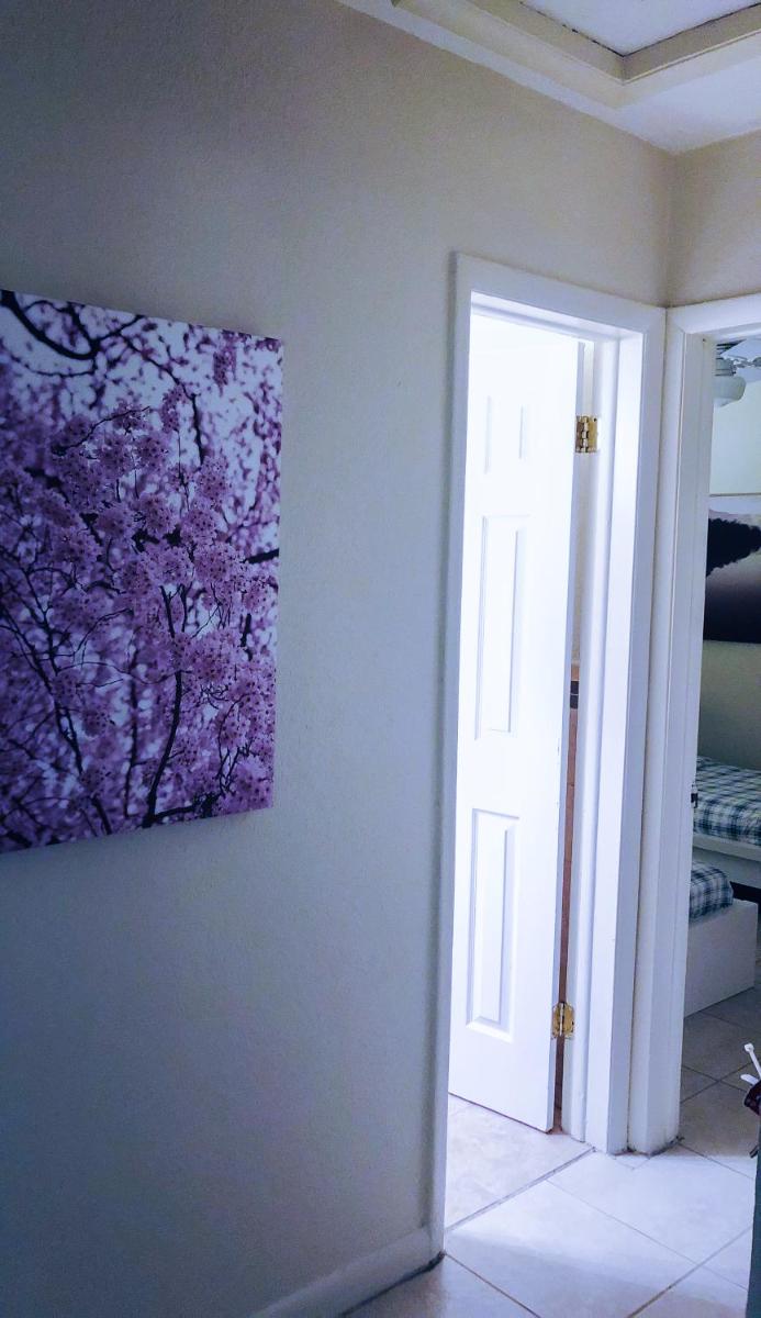 The Cherry Blossom House