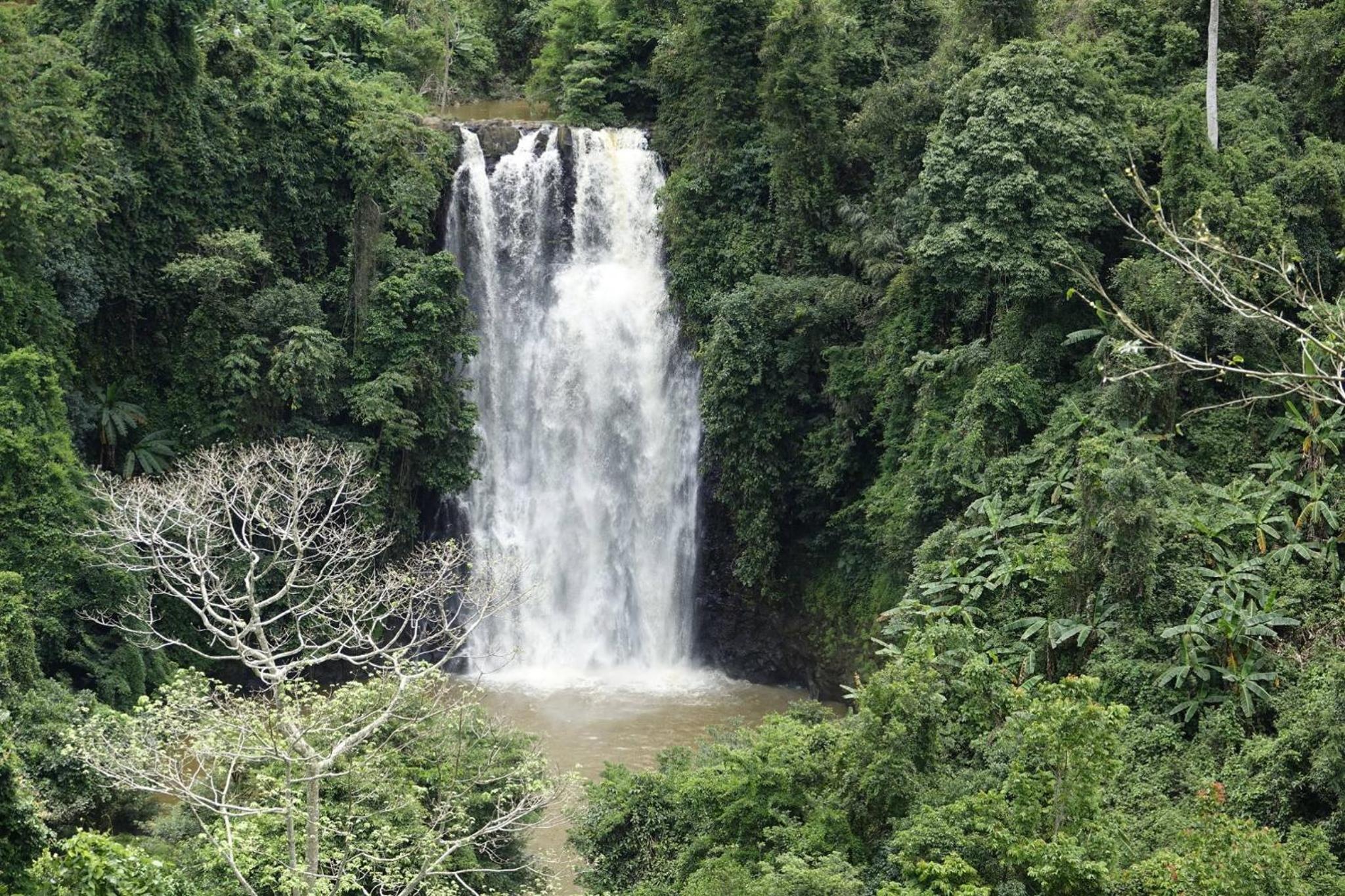 Ivory Falls Villa