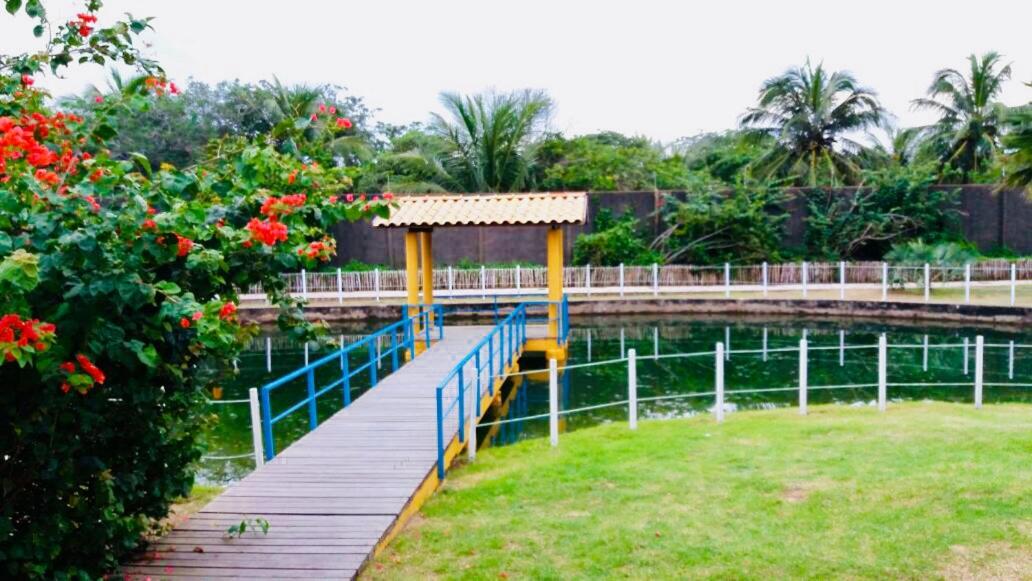 children's play area