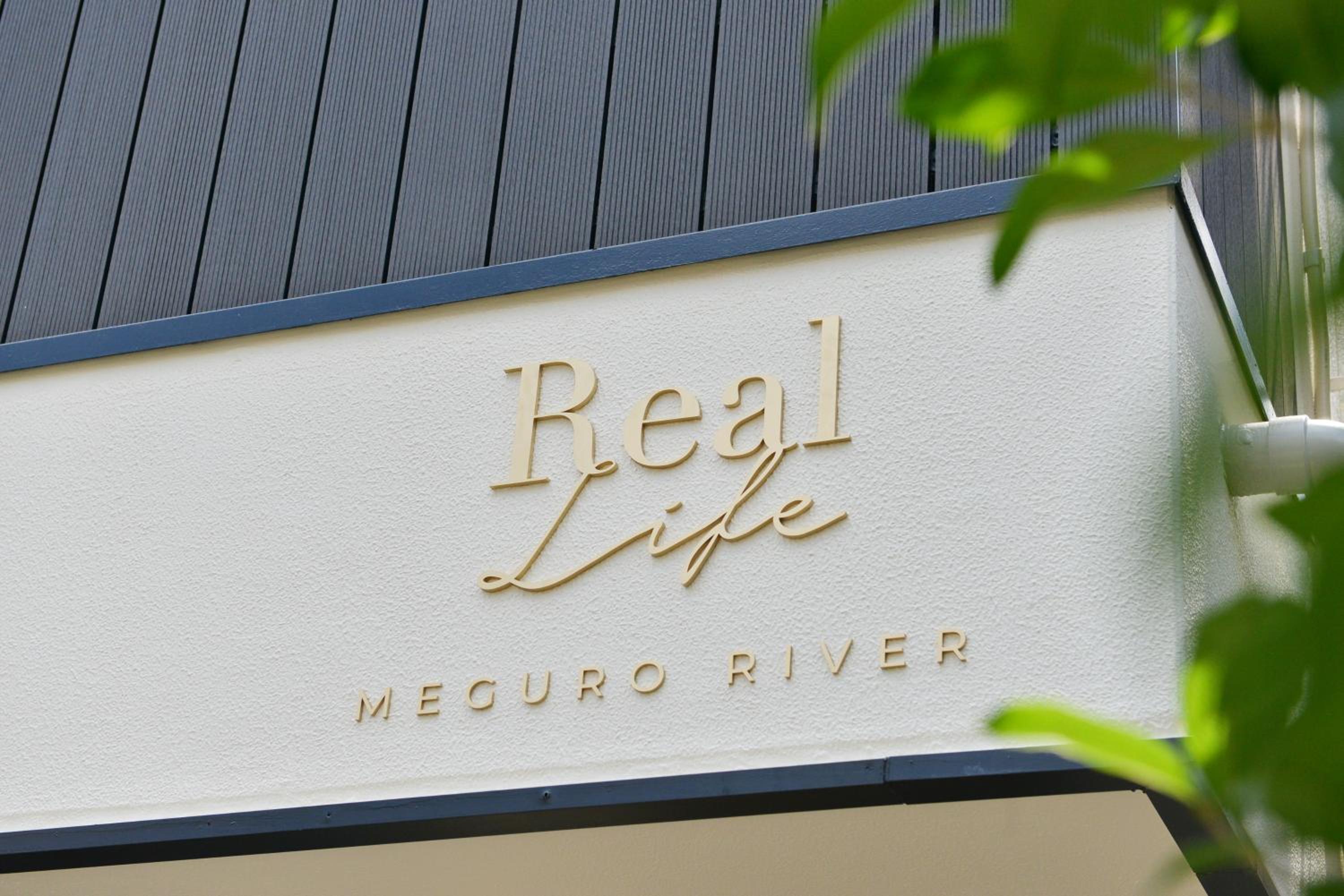 Real Life Meguro River