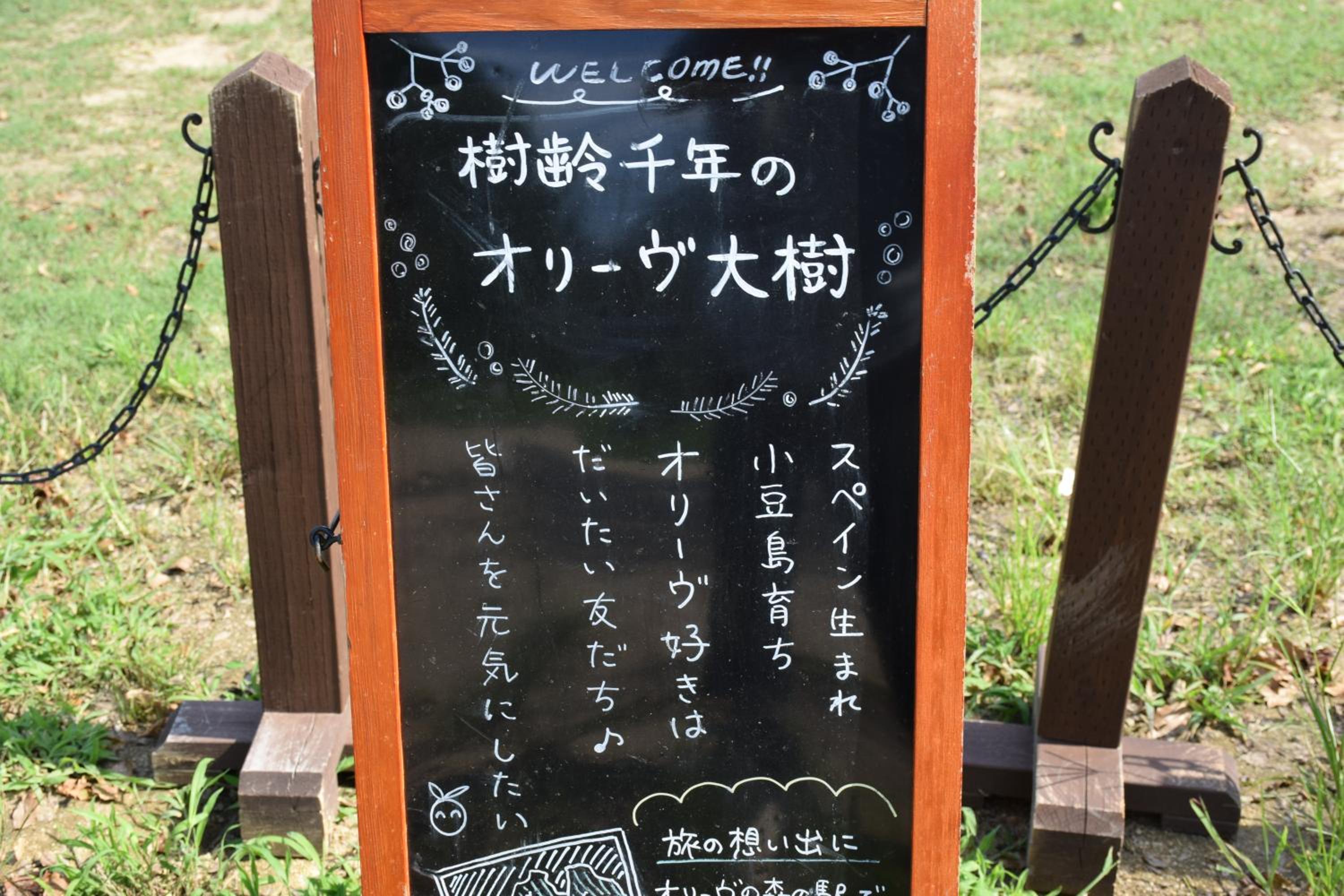 Photo 37