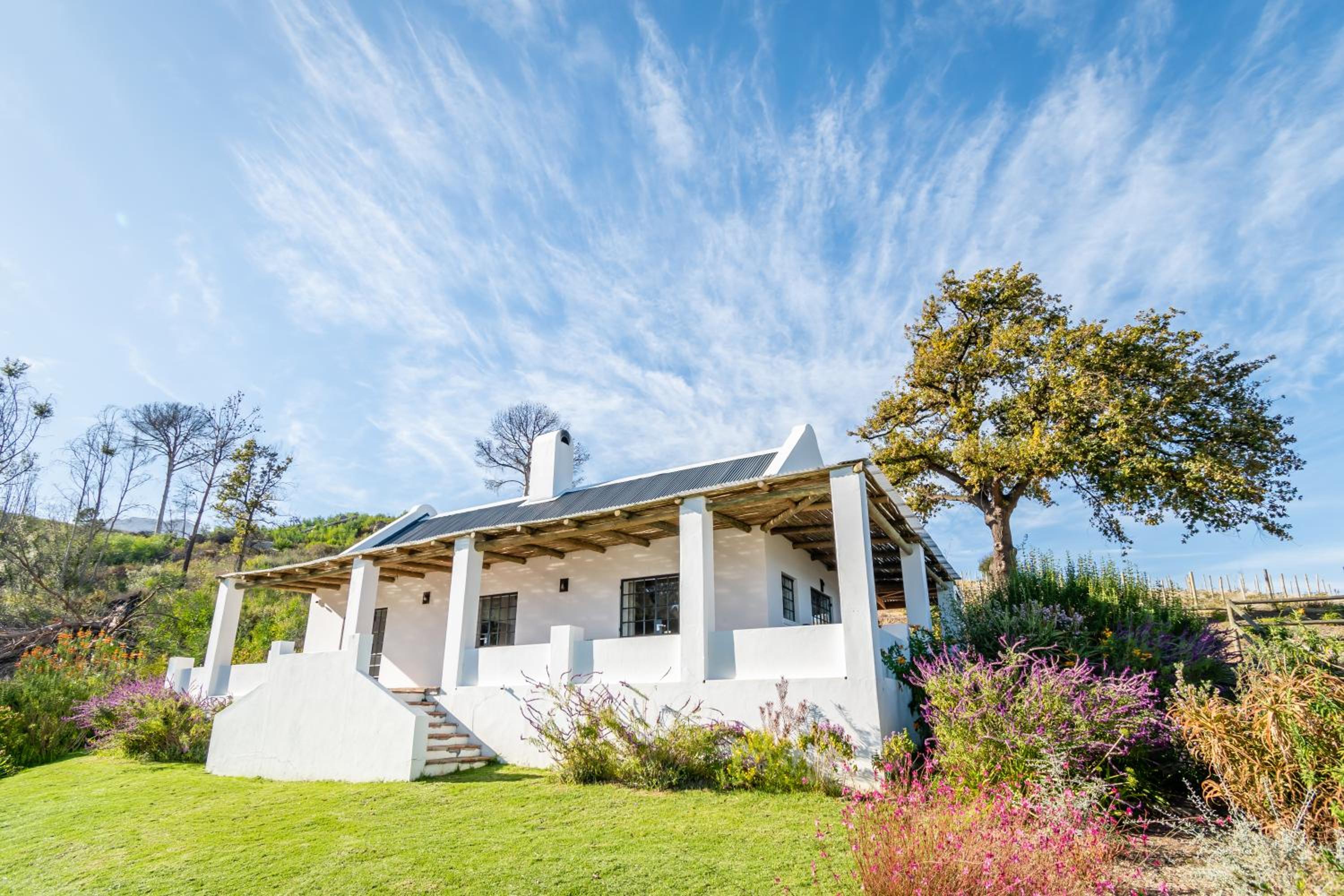Druk My Niet Wine Estate view 3