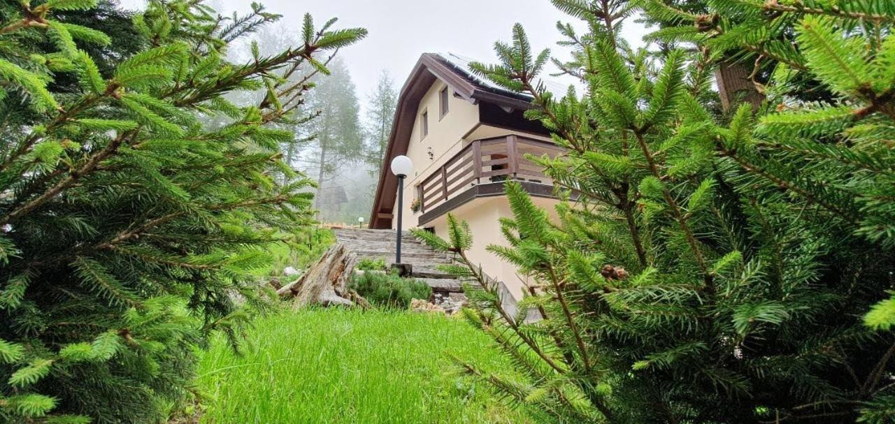 Apartma Smučka pod Roglo view 4