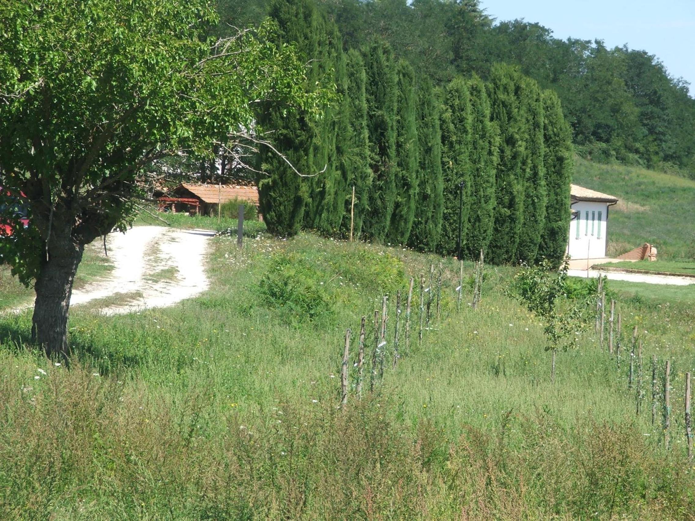 Casale Arcadia photo 5