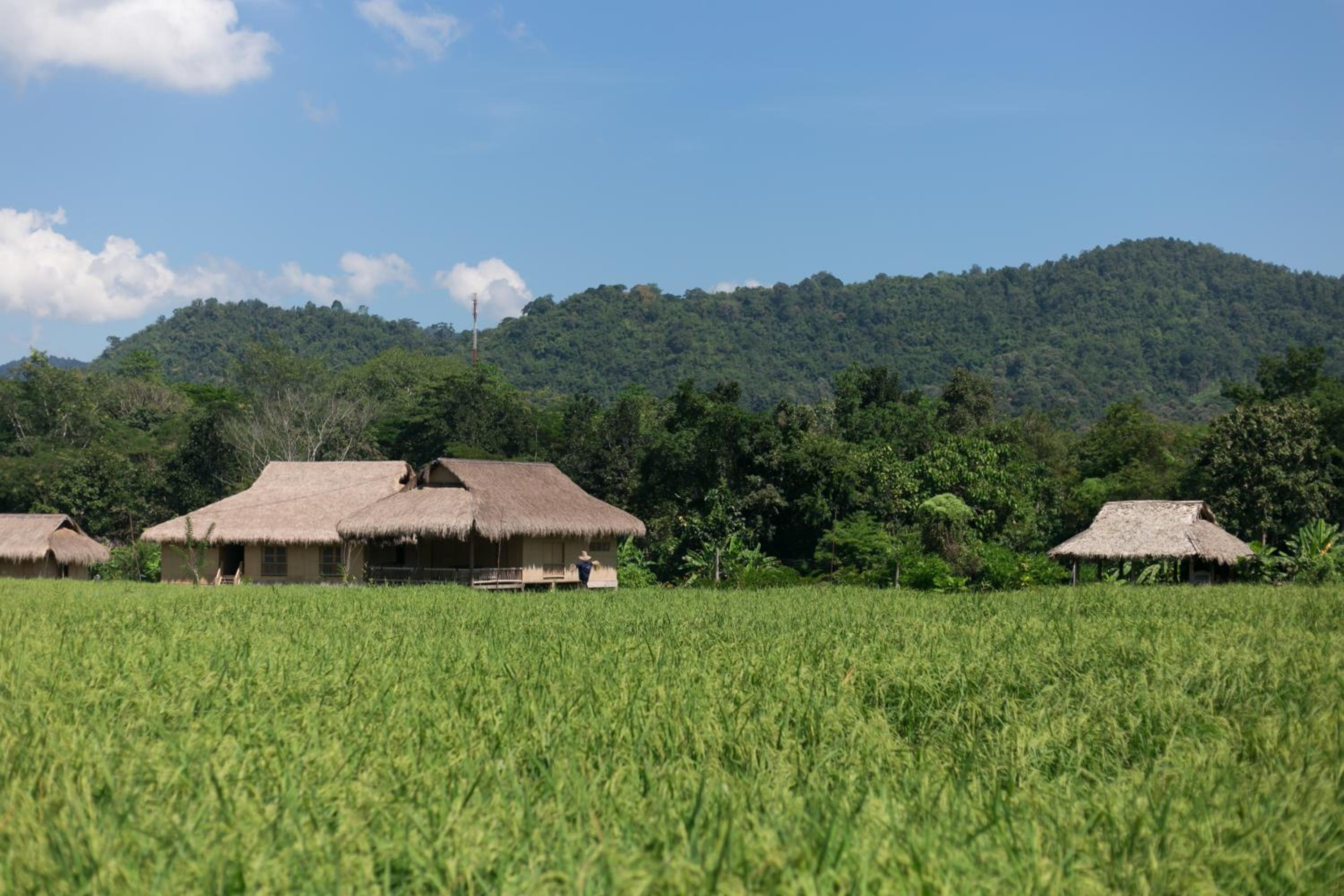 Lisu Lodge