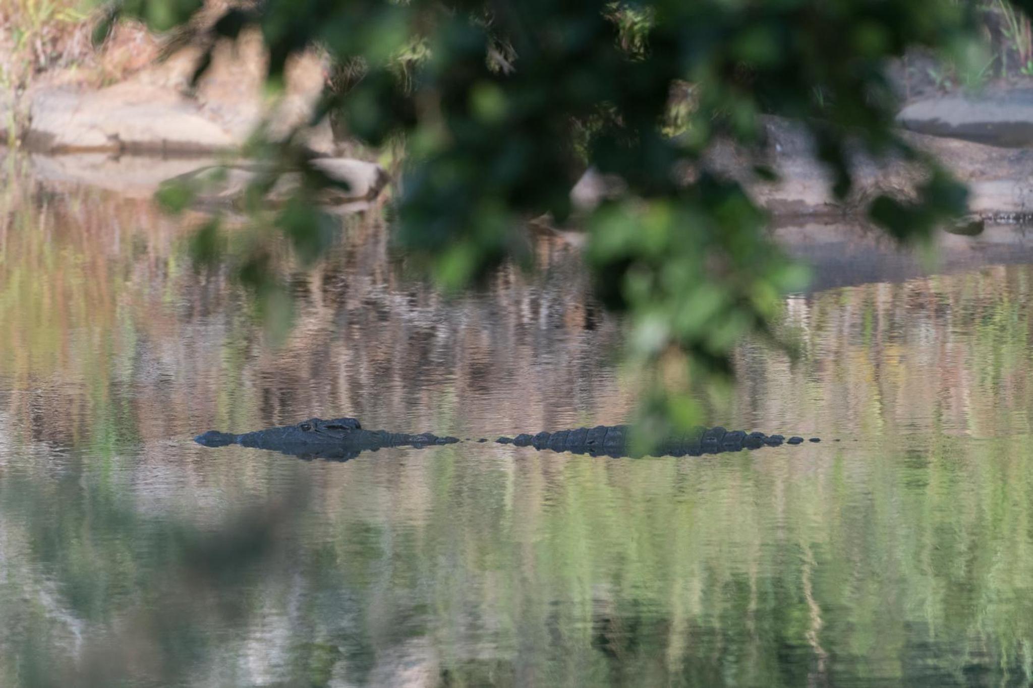 Rukiya Safari Camp