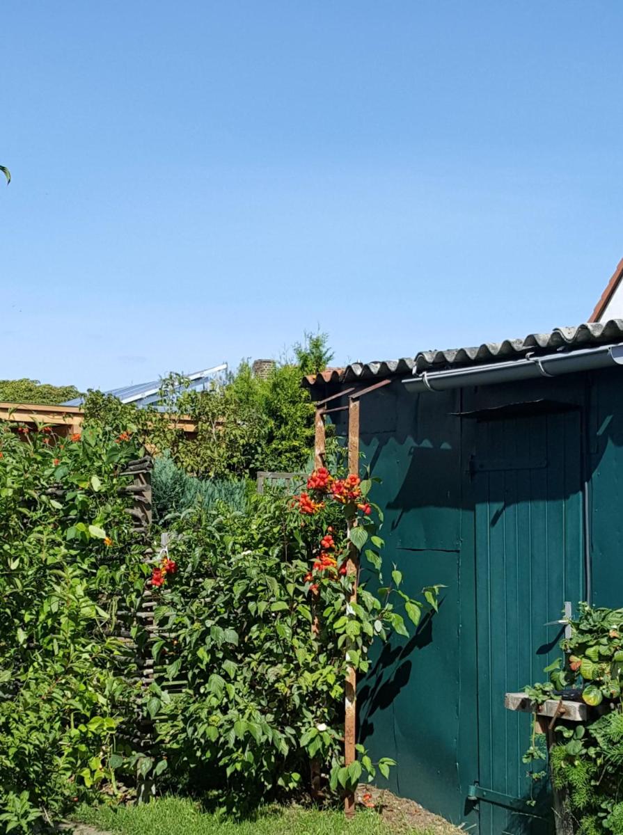 Ferienwohnung Cosmeahouse - Property Image 33