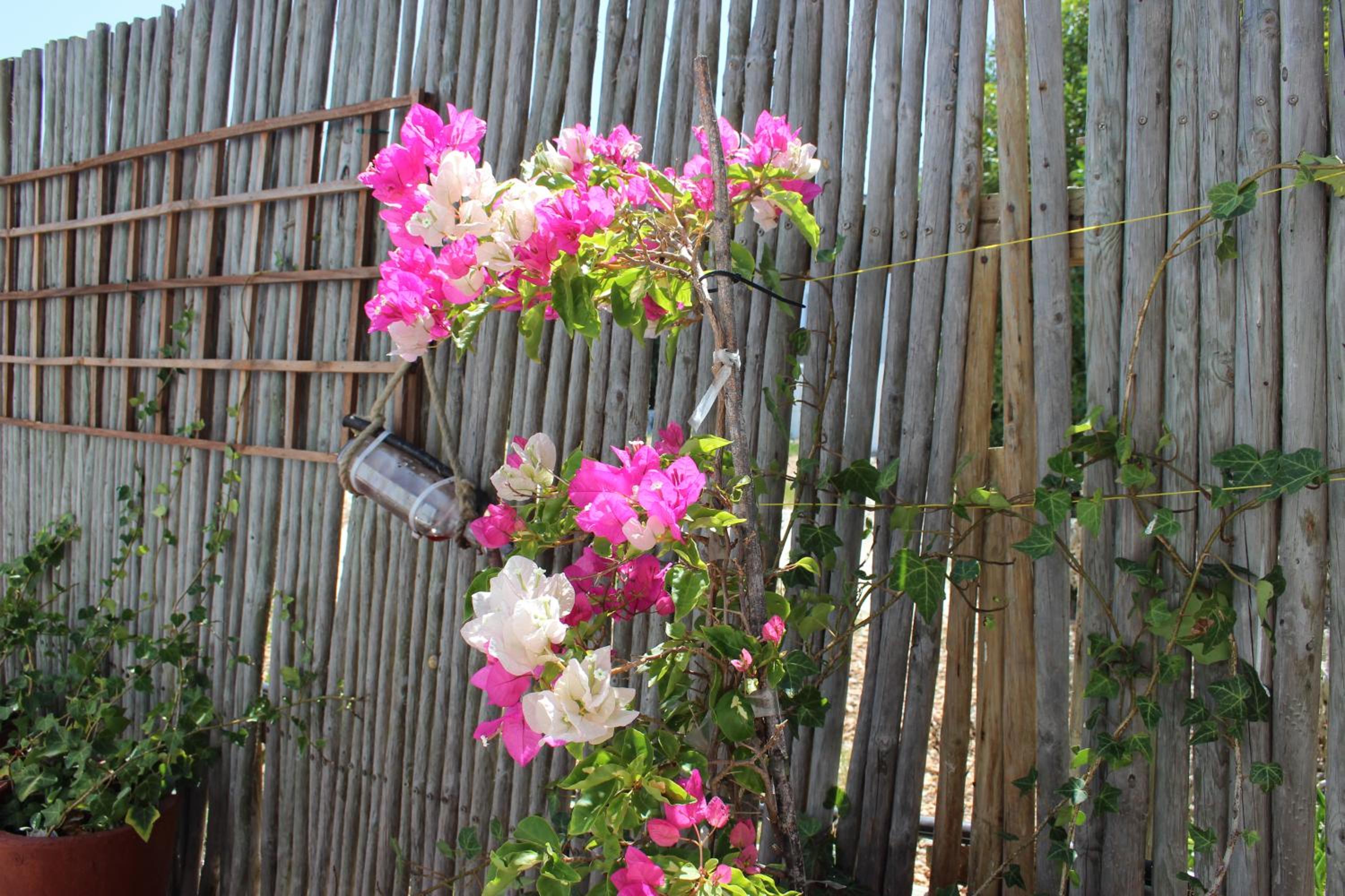 BlueSky Arniston Boutique Guesthouse