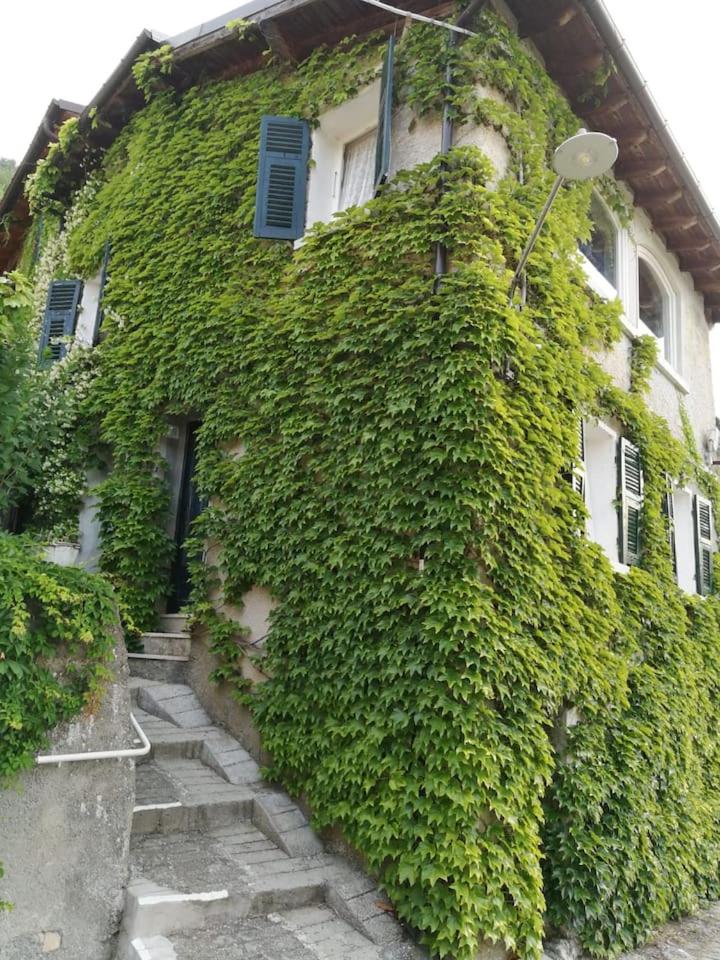 Photo 36